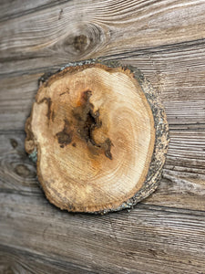 Hickory Burl Slice, Approximately 10.5 Inches Long by 9 Inches Wide and 3/4 Inch Thick