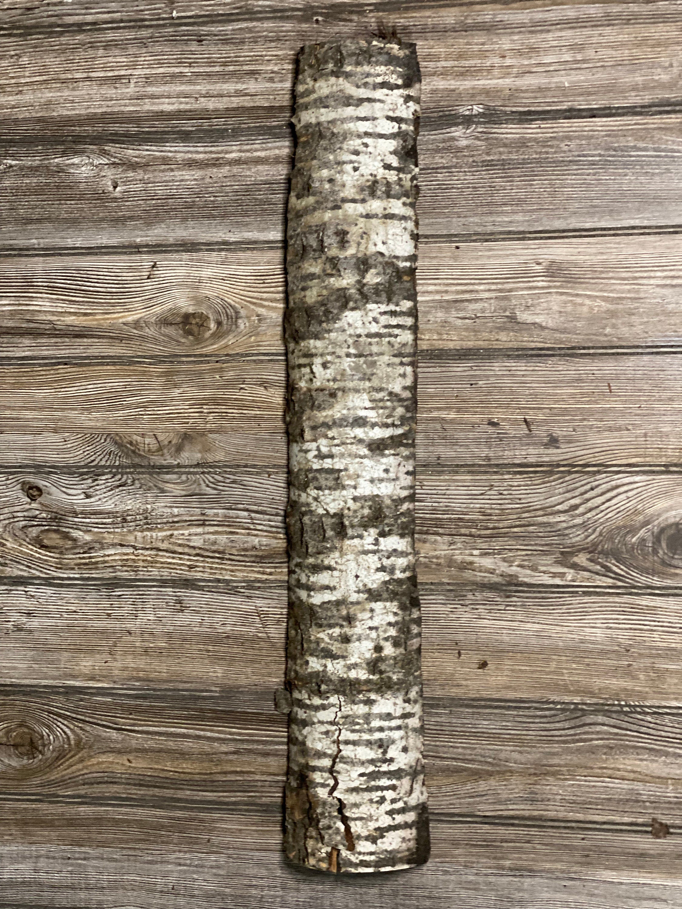 Long Aspen Lizard Tunnel, Approximately 28 Inches Long by 5 Inches Wide and 2 Inches High