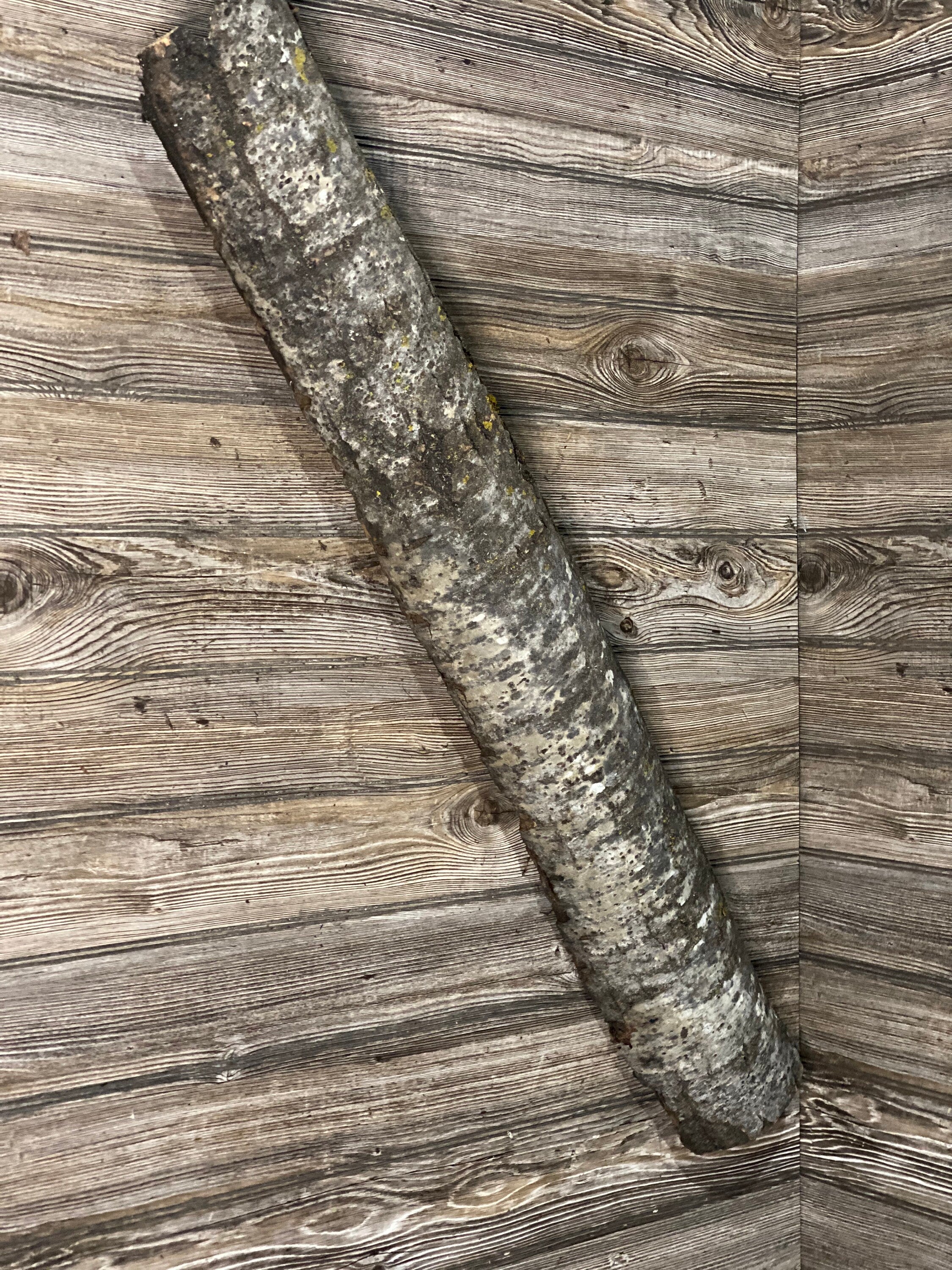 Long Aspen Lizard Tunnel, Approximately 41.5 Inches Long by 6 Inches Wide and 4.5 Inches High