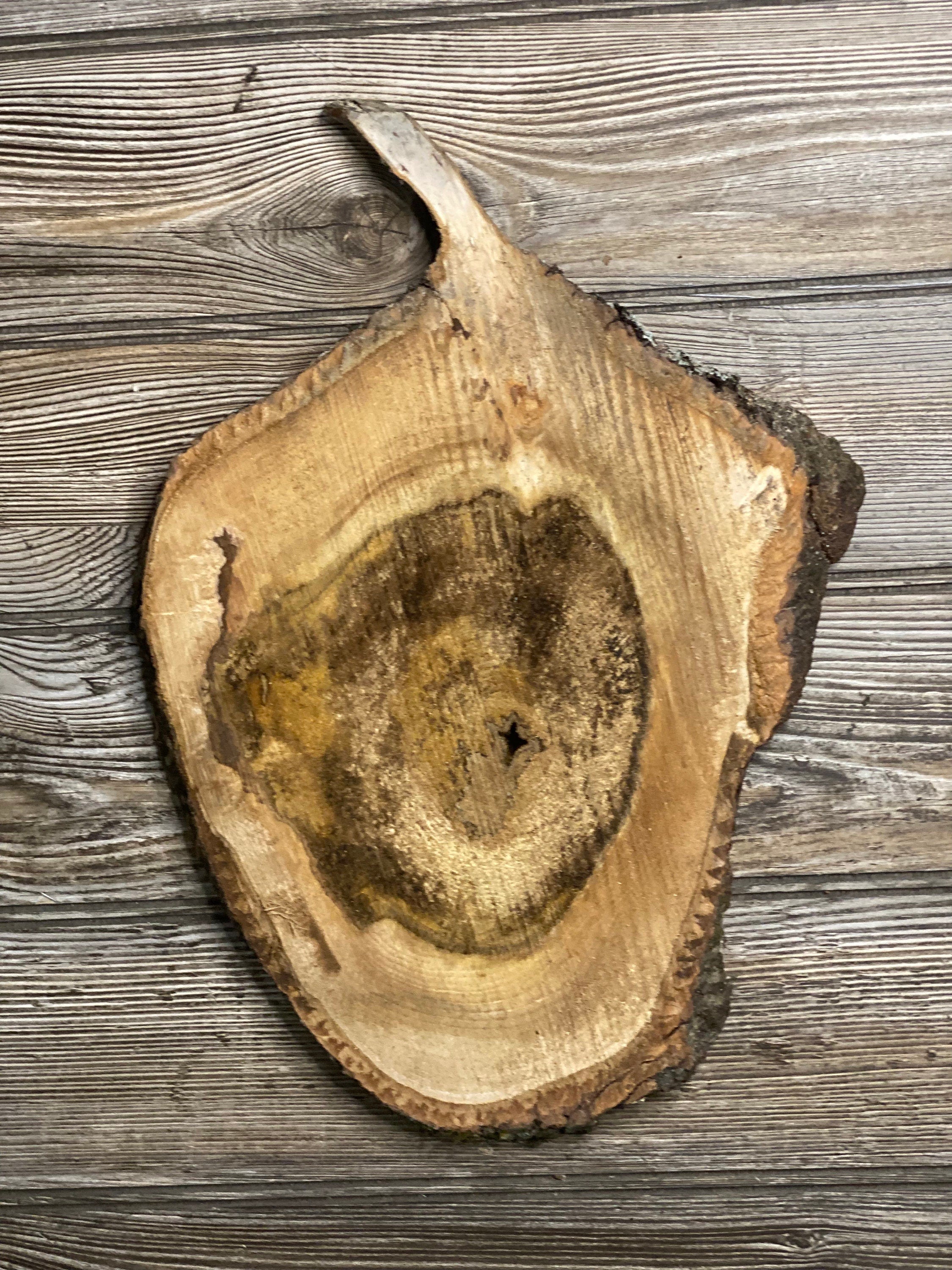 Hickory Burl Slice, Approximately 14 Inches Long by 10 Inches Wide and 3/4 Inch Thick