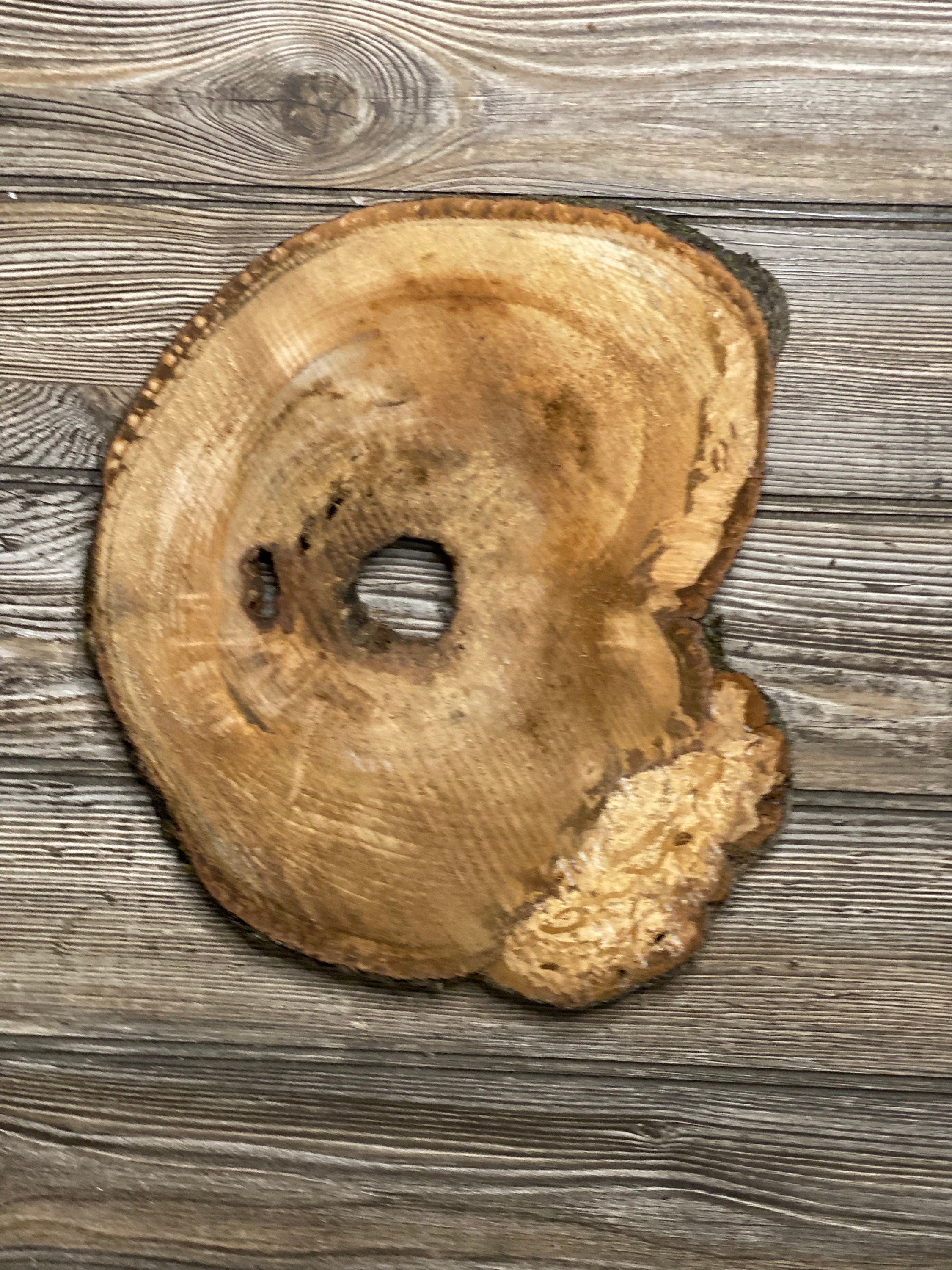 Hickory Burl Slice, Approximately 11 Inches Long by 9.5 Inches Wide and 3/4 Inch Thick