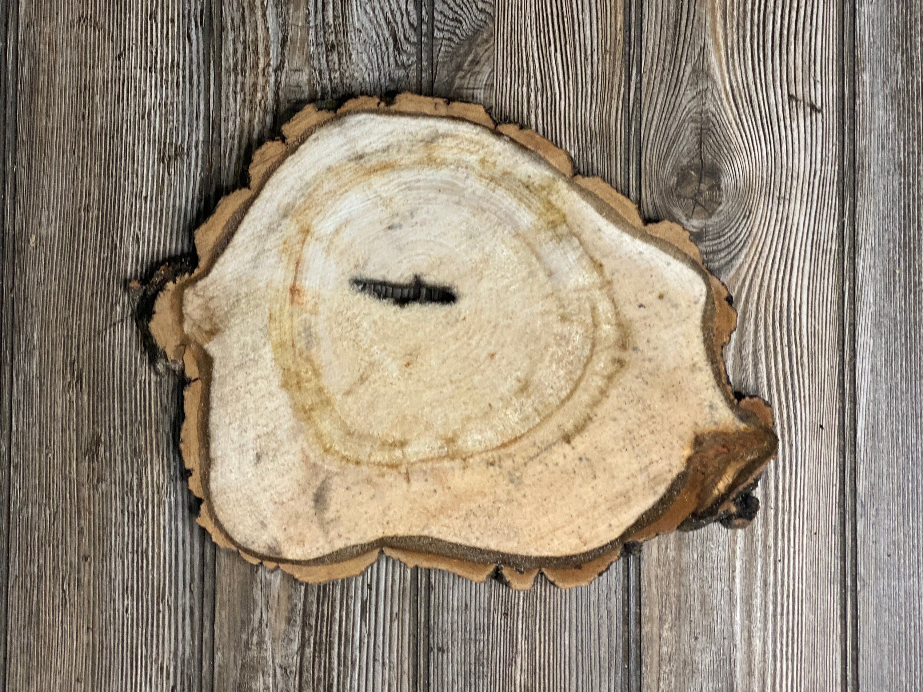 Aspen Burl Slice, Approximately 12.5 Inches Long by 9 Inches Wide and 3/4 Inch Thick