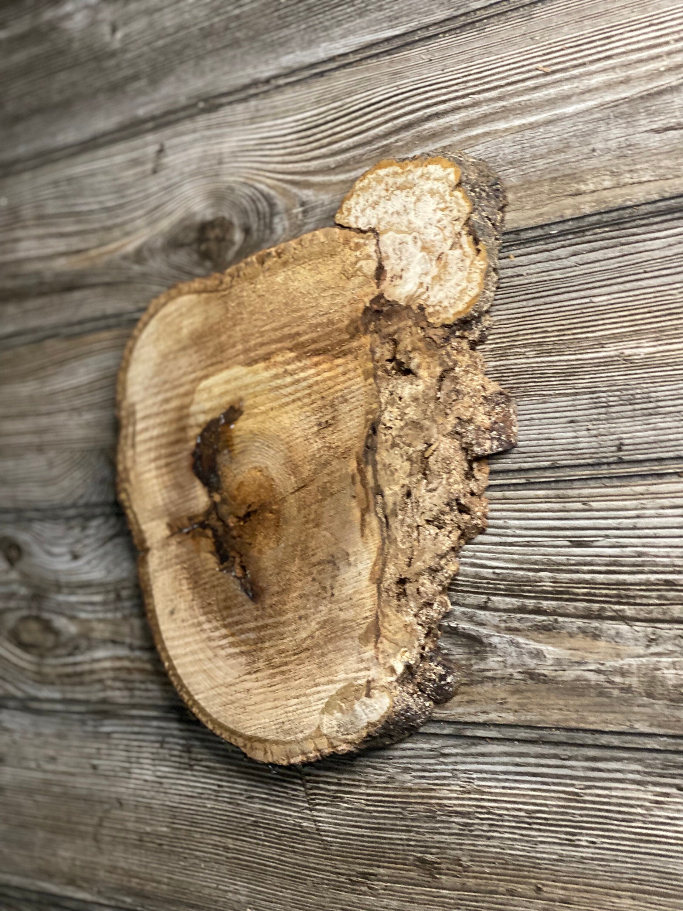 Hickory Burl Slice, Approximately 11 Inches Long by 8.5 Inches Wide and 3/4 Inch Thick