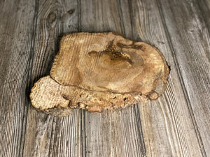 Hickory Burl Slice, Approximately 11 Inches Long by 8.5 Inches Wide and 3/4 Inch Thick