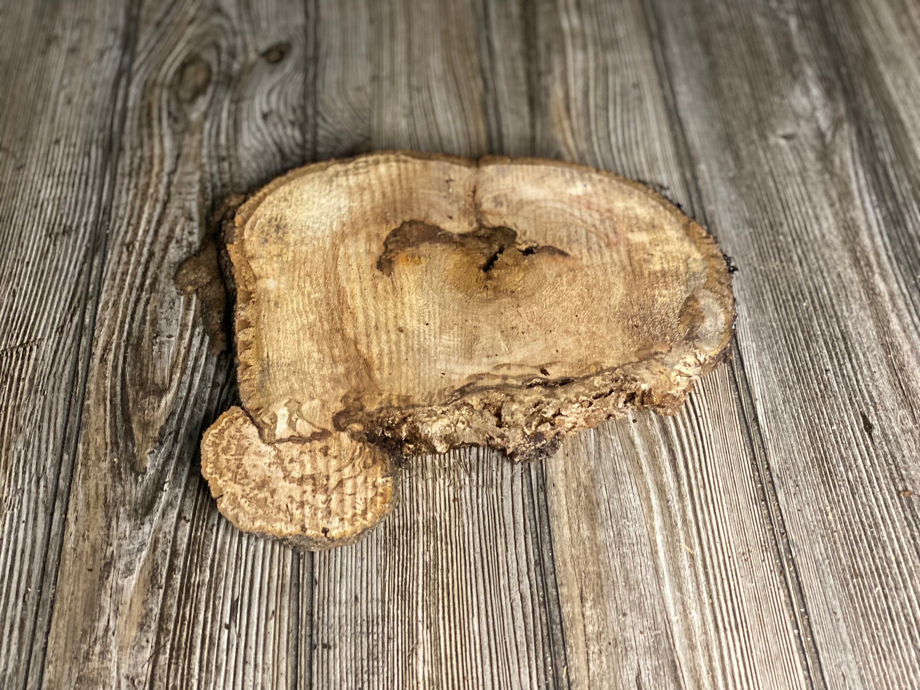 Hickory Burl Slice, Approximately 11 Inches Long by 8 Inches Wide and 3/4 Inch Thick