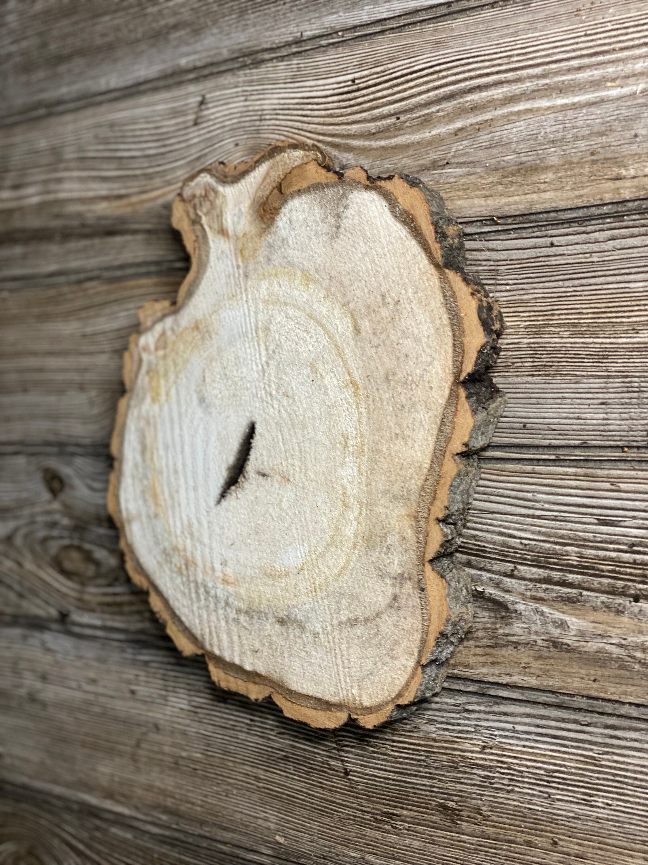 Aspen Burl Slice, Approximately 11 Inches Long by 9.5 Inches Wide and 3/4 Inch Thick