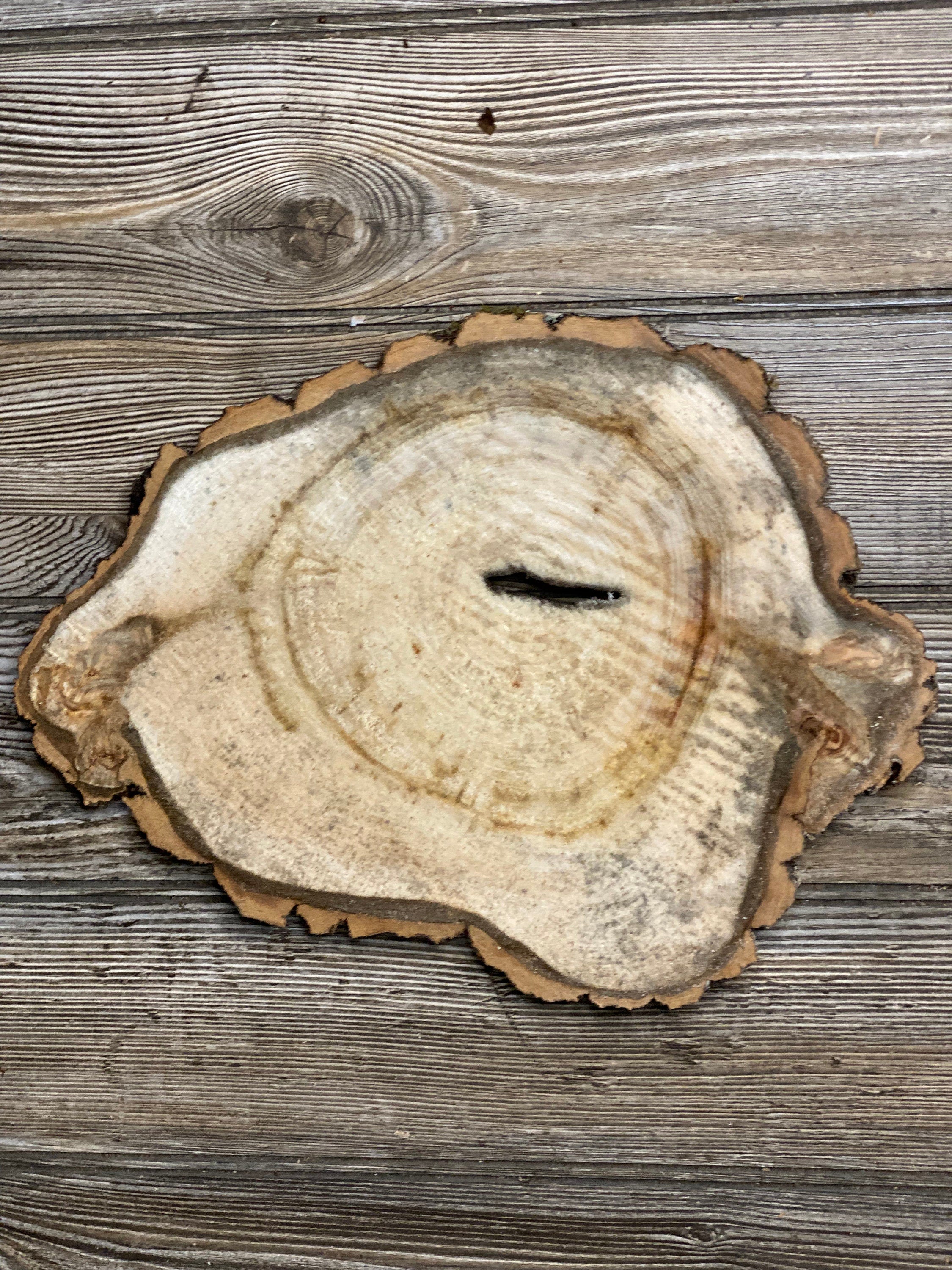 Aspen Burl Slice, Approximately 12.5 Inches Long by 9.5 Inches Wide and 3/4 Inch Thick