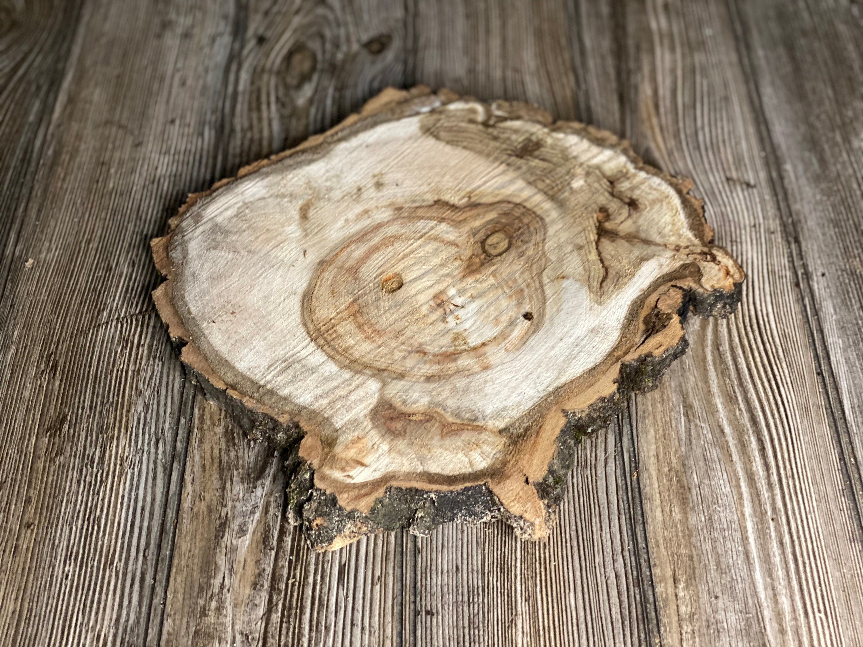 Aspen Burl Slice, Approximately 11.5 Inches Long by 11 Inches Wide and 3/4 Inch Thick