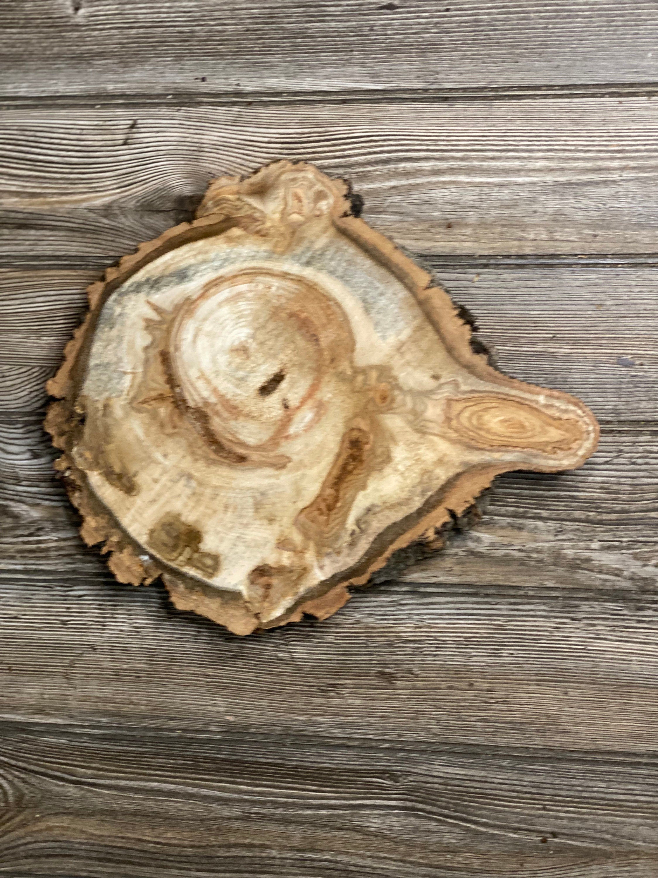 Aspen Burl Slice, Approximately 13 Inches Long by 11 Inches Wide and 1.5 Inch Thick