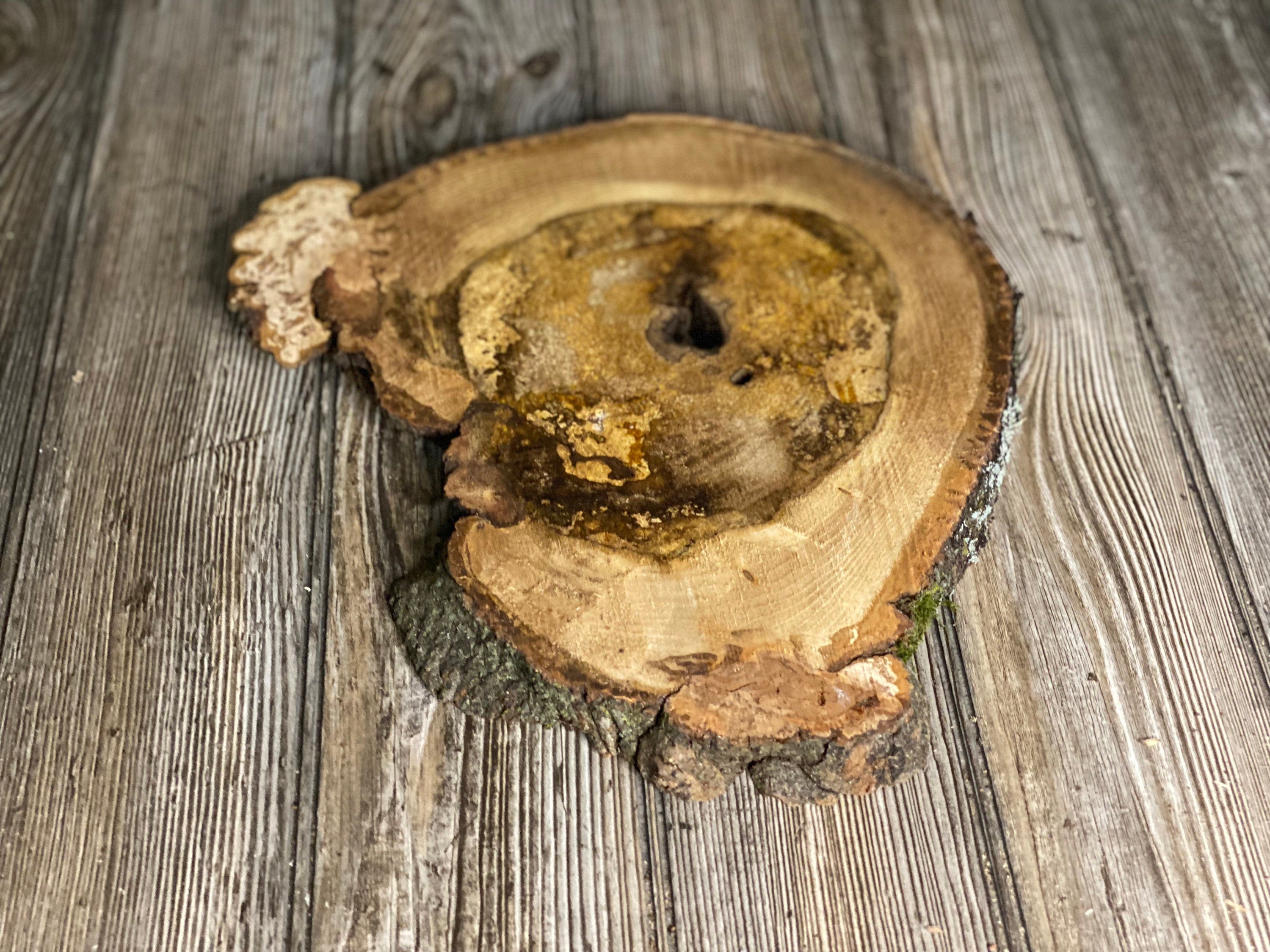 Hickory Burl Slice, Approximately 12.5 Inches Long by 11.5 Inches Wide and 3/4 Inch Thick