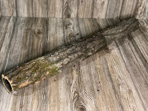 Aspen Bark Tube, Approximately 35 Inches Long by 4 Inches Wide and 3 Inches High