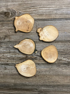 Five Hickory Slices, Approximately 3-4 Inches Long by 3 Inches Wide and 3/4 Inch Thick