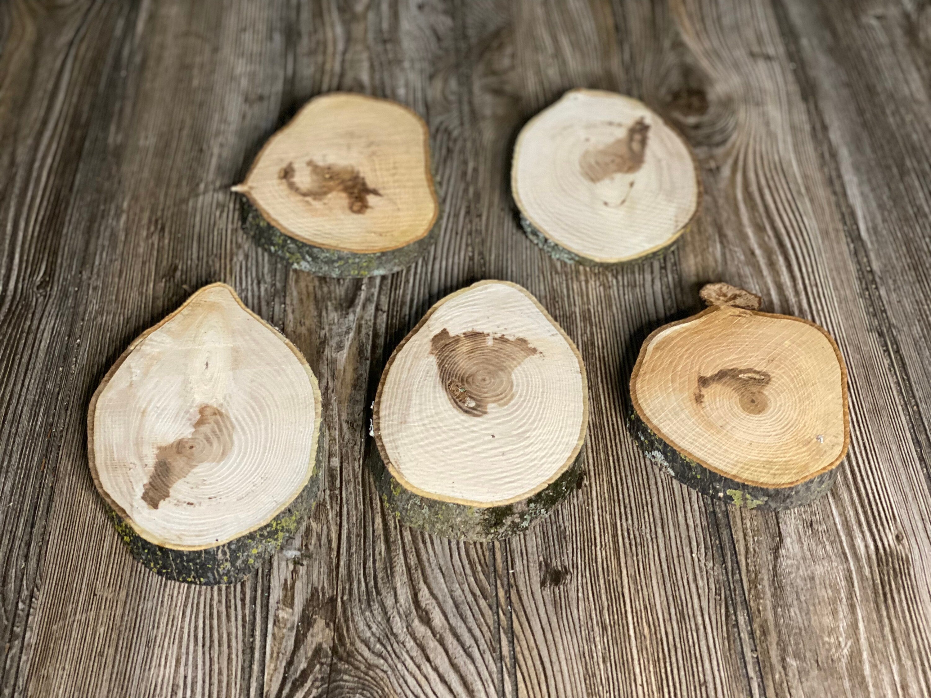 Five Hickory Slices, Approximately 5-6.5 Inches Long by 4 Inches Wide and 3/4 Inch Thick