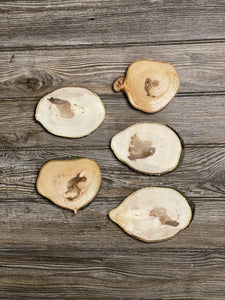 Five Hickory Slices, Approximately 5-6.5 Inches Long by 4 Inches Wide and 3/4 Inch Thick