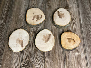 Five Hickory Slices, Approximately 5-6.5 Inches Long by 4 Inches Wide and 3/4 Inch Thick
