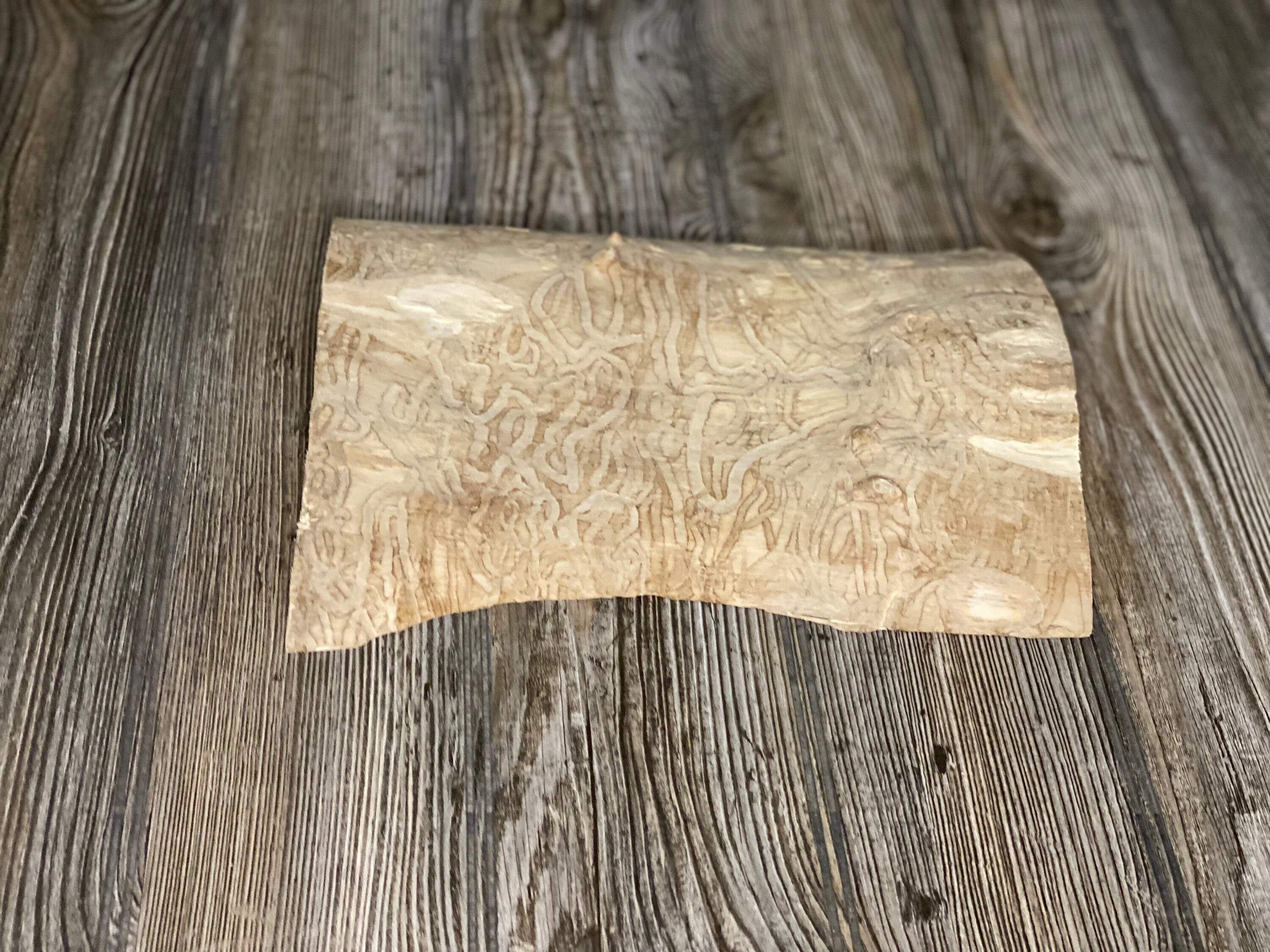 Wood Slab with Natural Squiggles, Approximately 10 Inches Long by 8 Inches Wide and 2 Inches Tall