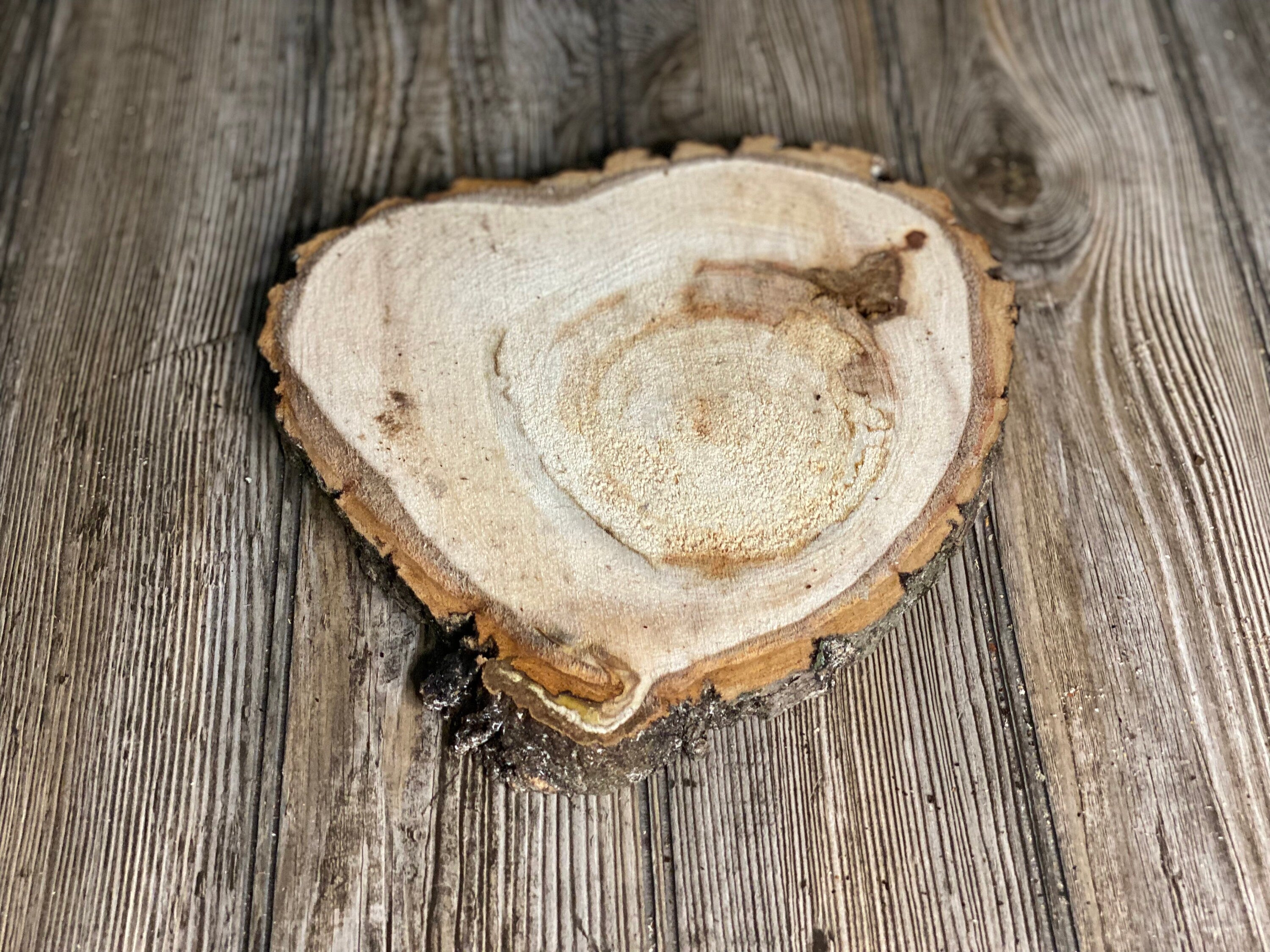 Aspen Burl Slice, Approximately 9.5 Inches Long by 9 Inches Wide and 3/4 Inch Thick