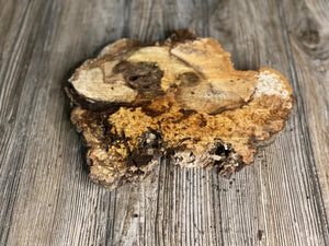 Hickory Burl Slice, Approximately 9.5 Inches Long by 9 Inches Wide and 1.5 Inch Thick