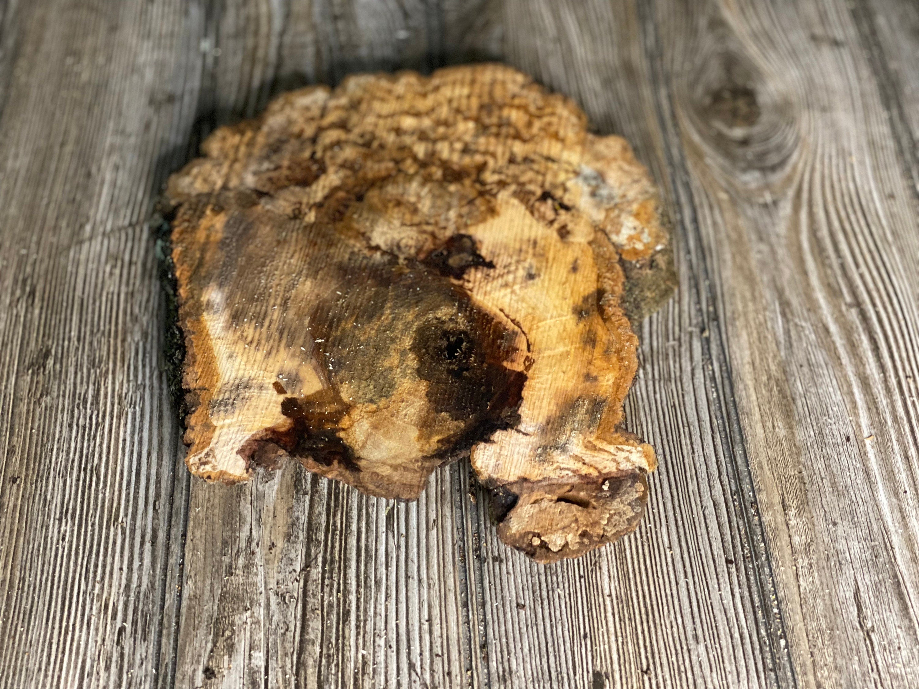 Hickory Burl Slice, Approximately 9 Inches Long by 8 Inches Wide and 3/4 Inch Thick