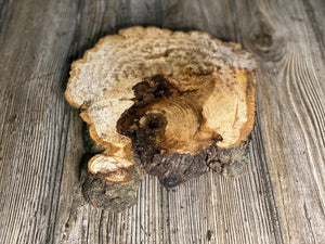 Hickory Burl Slice, Approximately 9 Inches Long by 8 Inches Wide and 3/4 Inch Thick