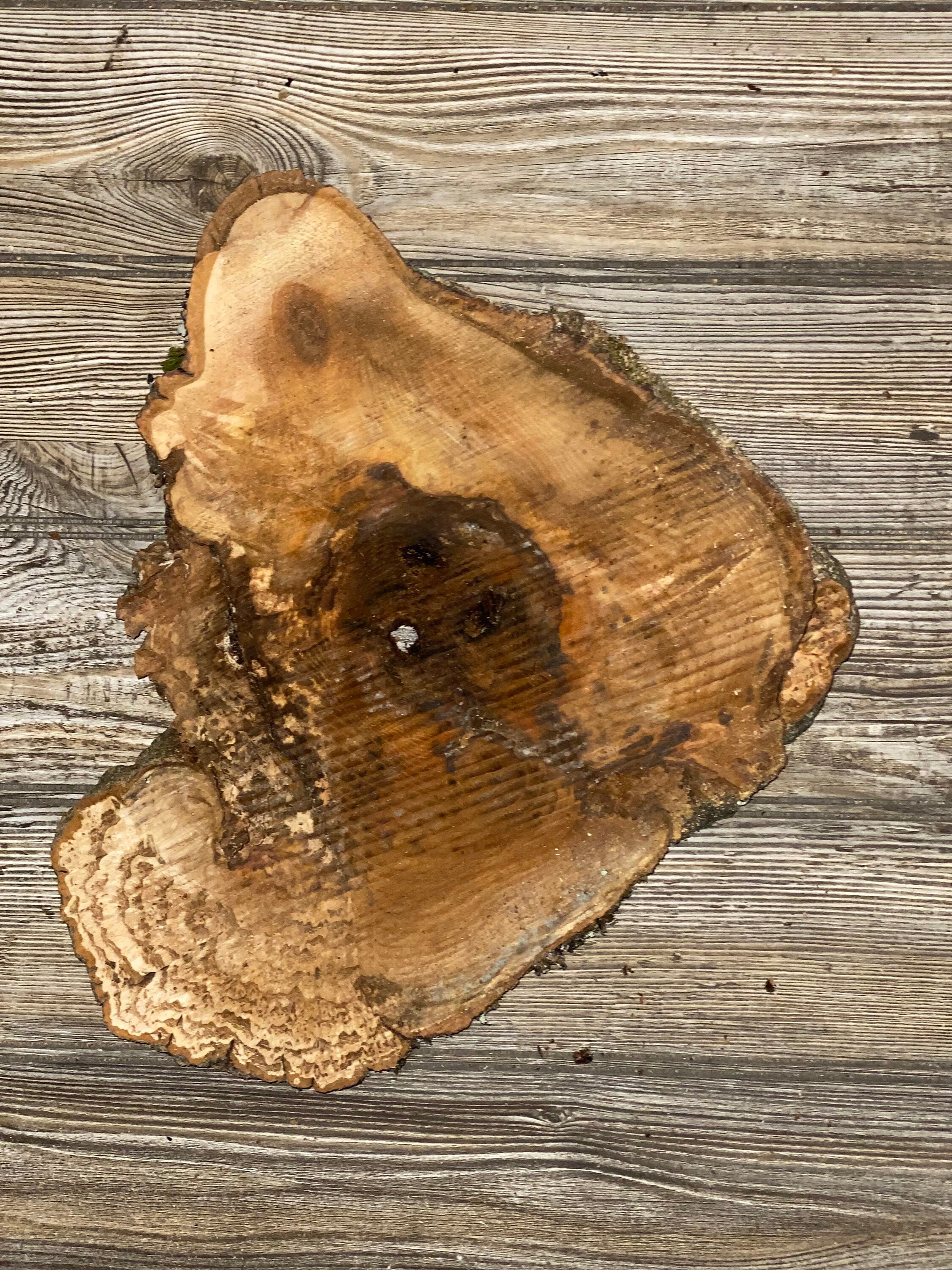 Hickory Burl Slice, Approximately 12.5 Inches Long by 11 Inches Wide and 3/4 Inch Thick