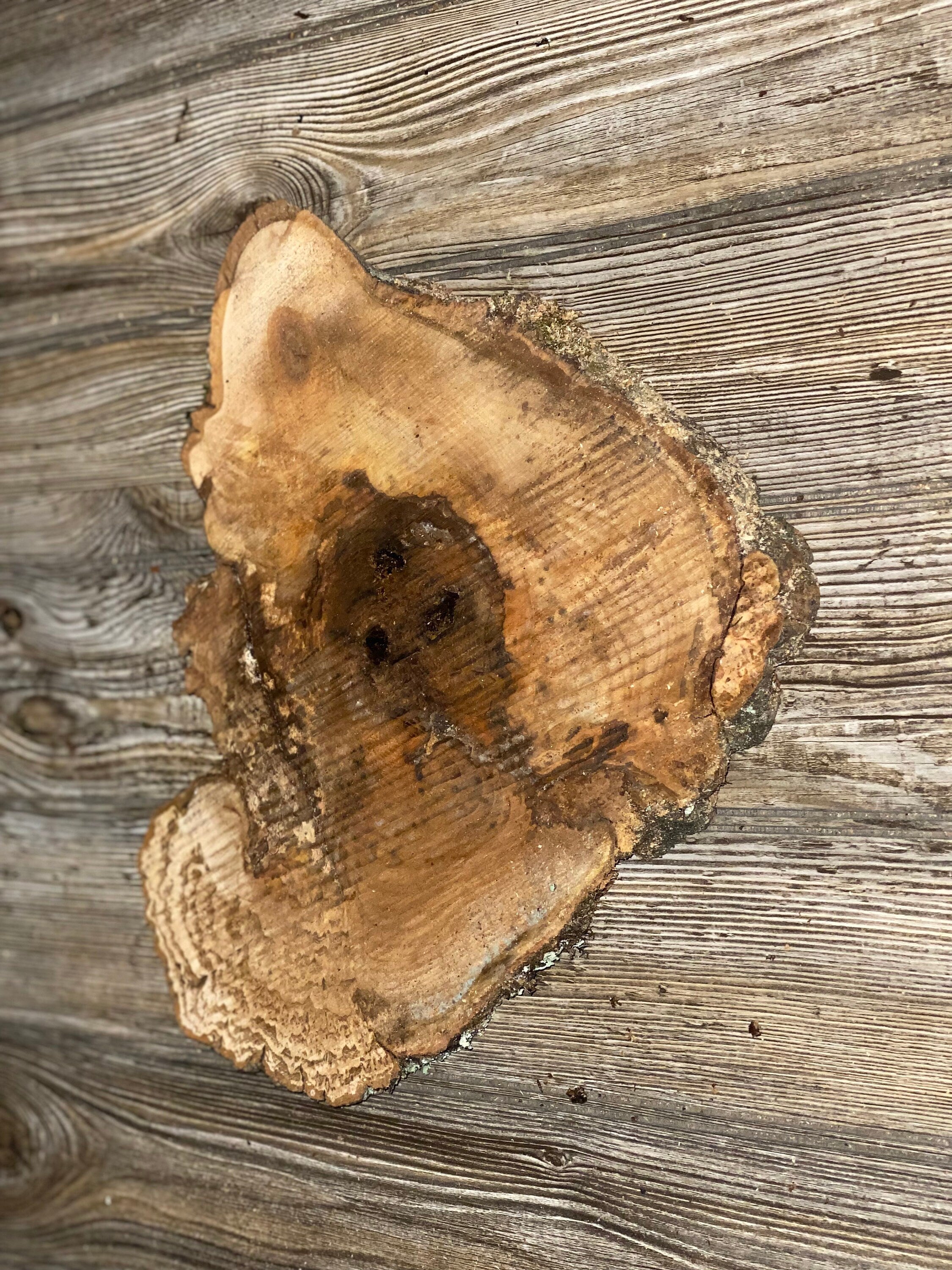 Hickory Burl Slice, Approximately 12.5 Inches Long by 11 Inches Wide and 3/4 Inch Thick