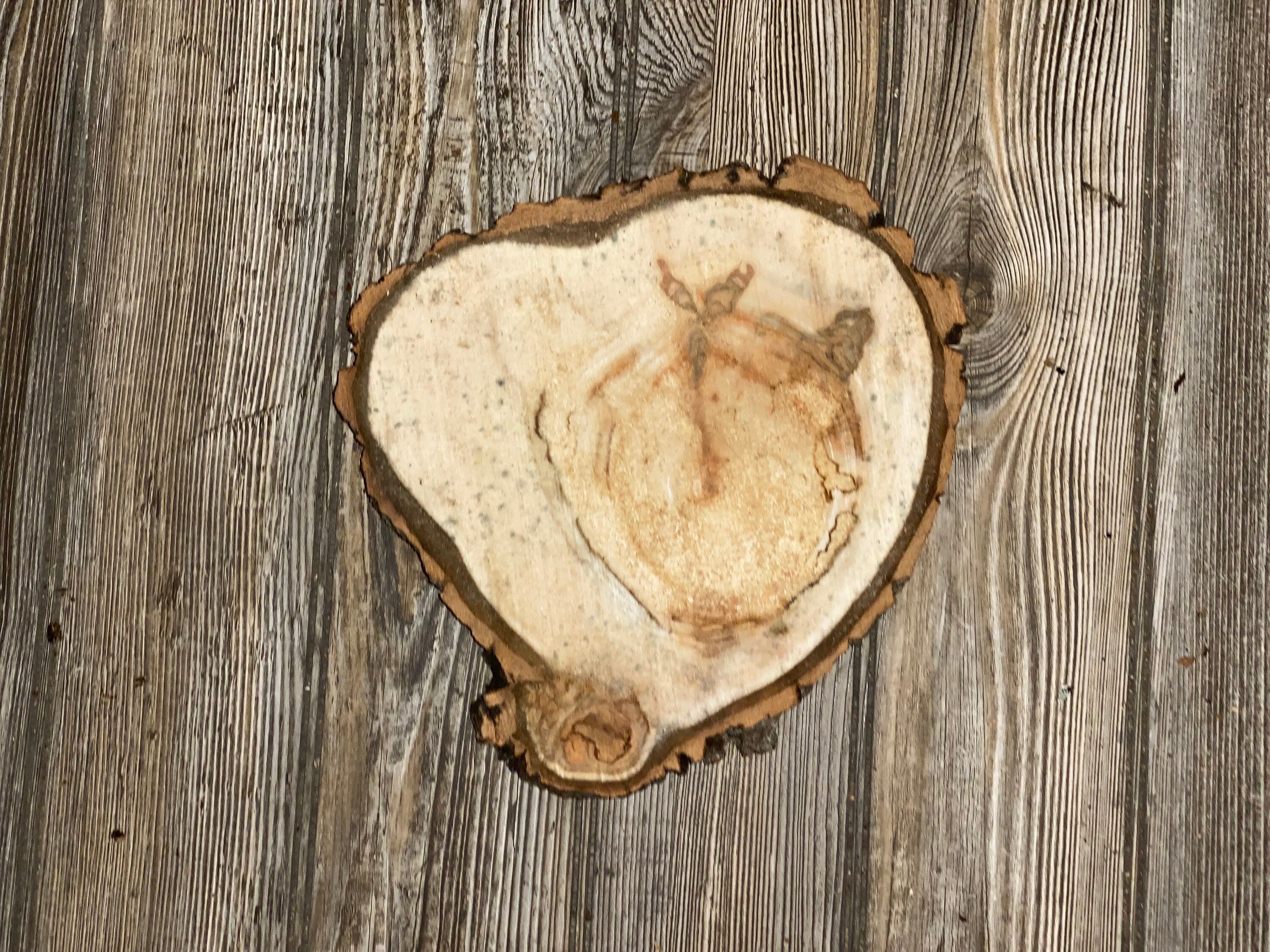 Heart Shaped Aspen Burl Slice, Approximately 10 Inches Long by 9 Inches Wide and 3/4 Inches Thick