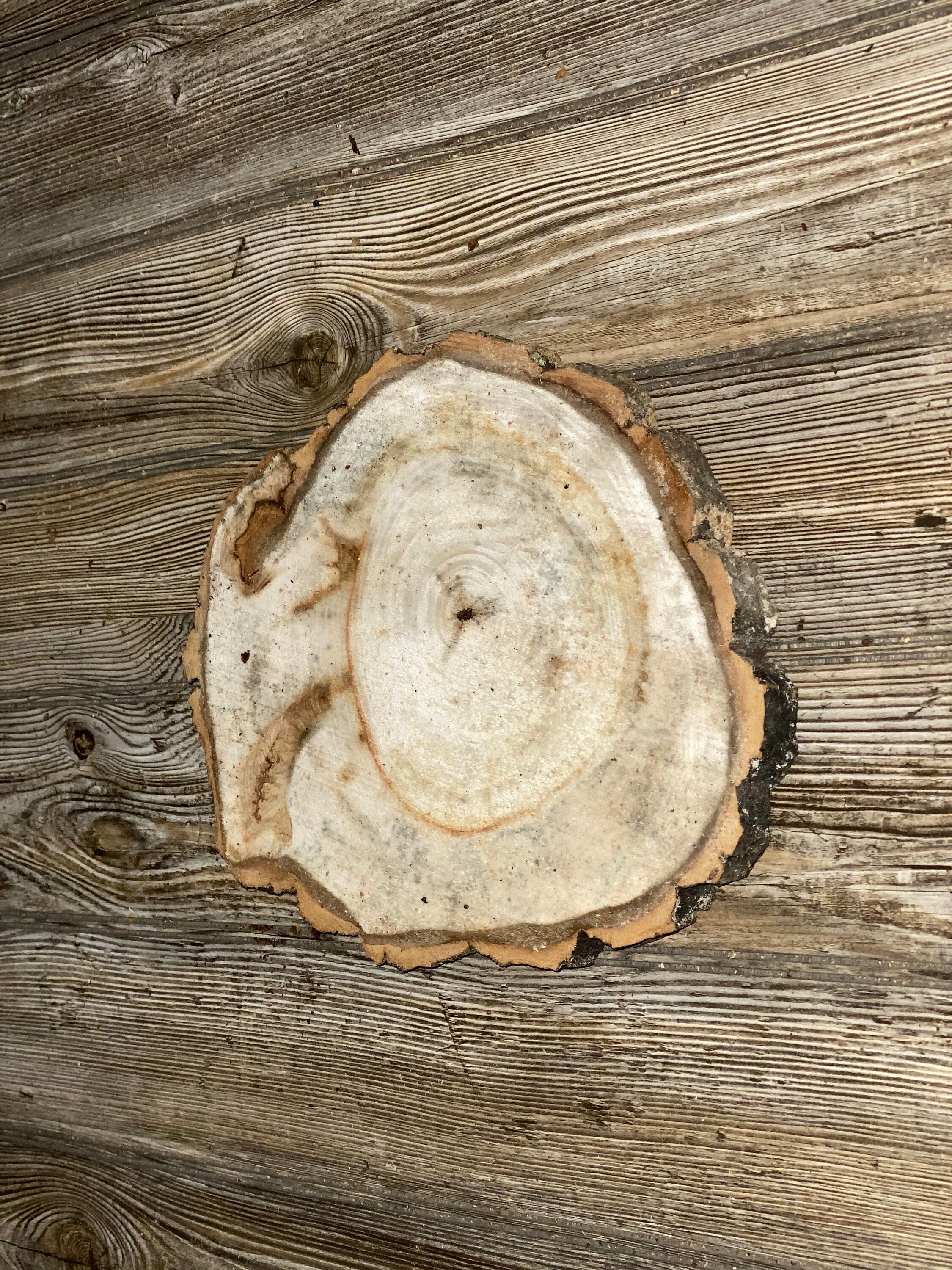 Aspen Burl Slice, Approximately 11 Inches Long by 9 Inches Wide and 3/4 Inches Thick