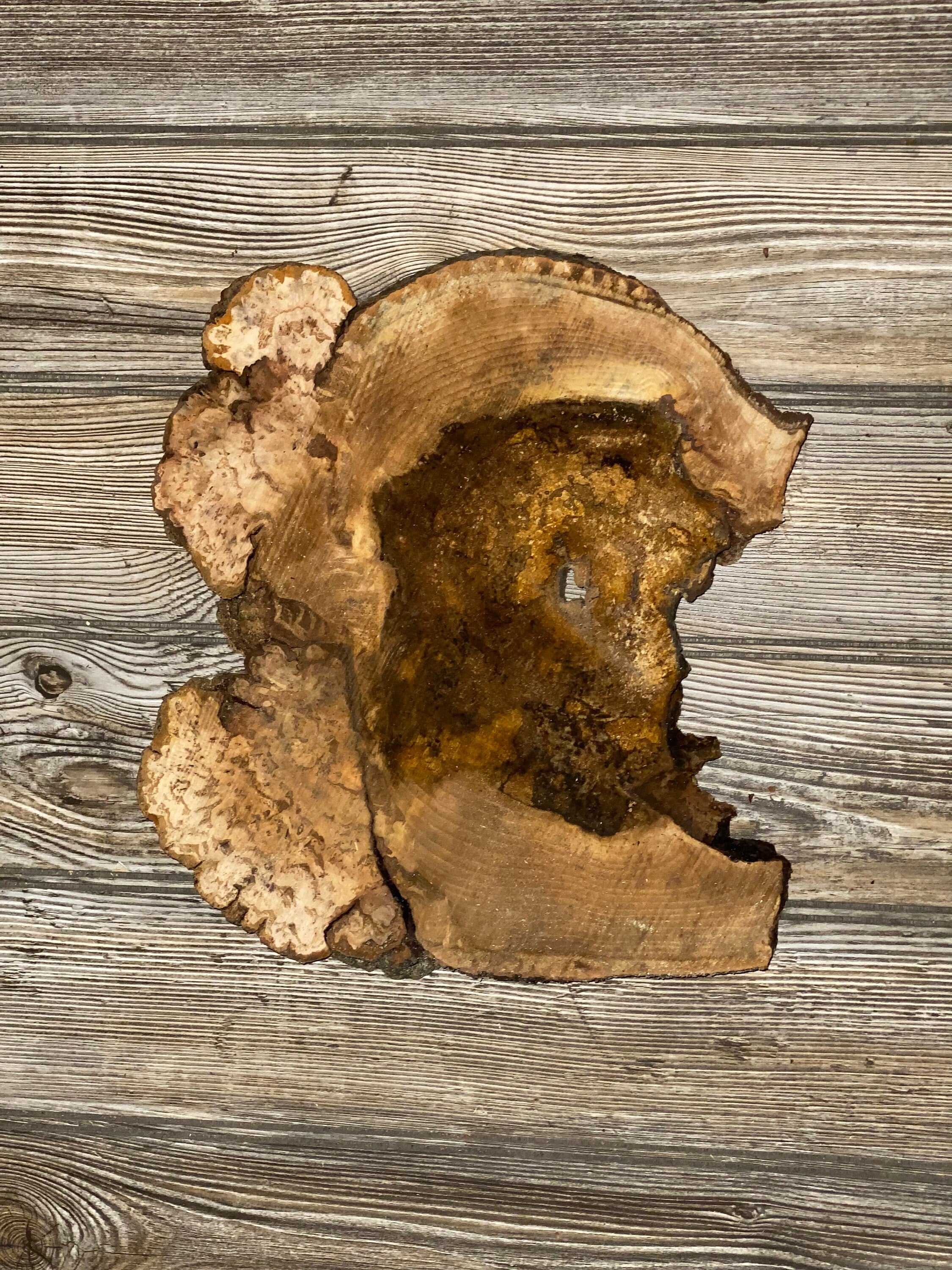 Hickory Burl Slice, Approximately 11.5 Inches Long by 10.5 Inches Wide and 3/4 Inch Thick