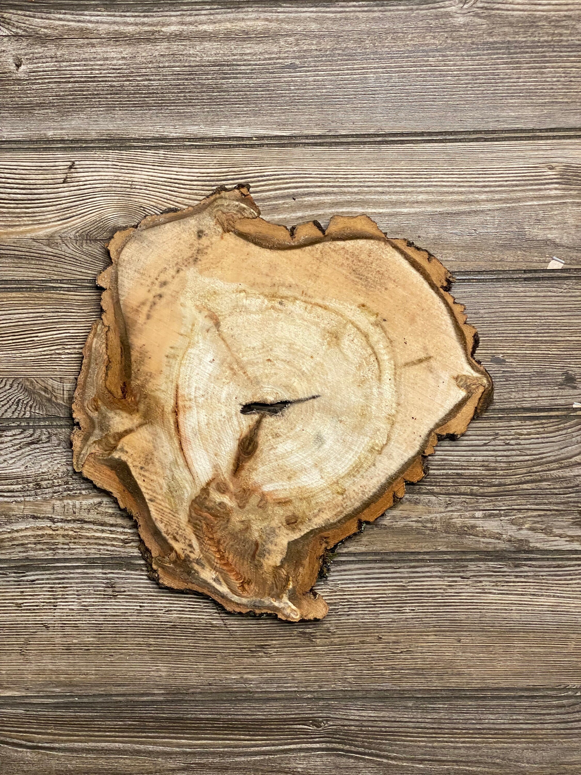 Aspen Burl Slice, Approximately 12 Inches Long by 12 Inches Wide and 3/4 Inch Thick