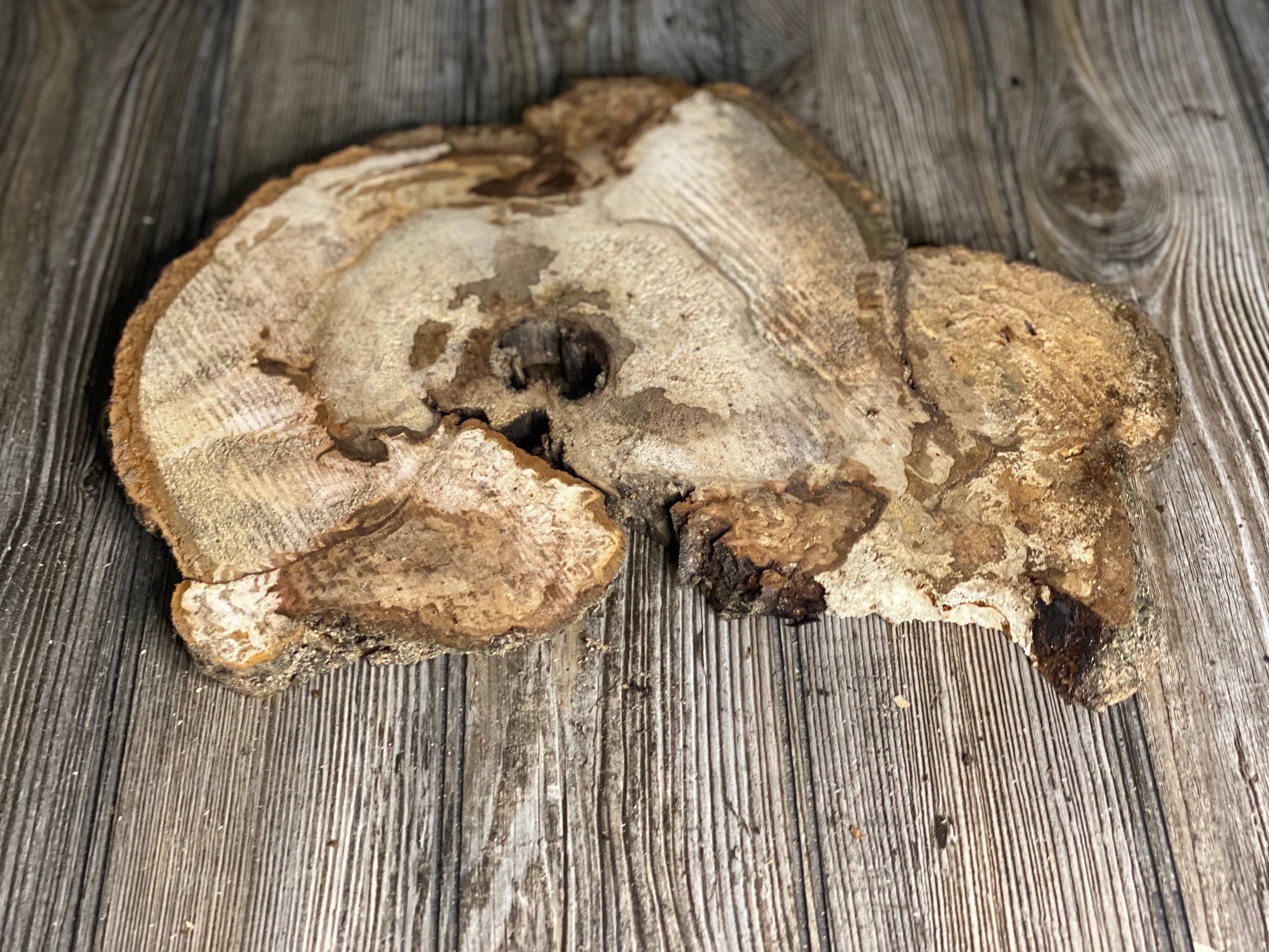 Hickory Burl Slice, Approximately 14 Inches Long by 11 Inches Wide and 3/4 Inch Thick