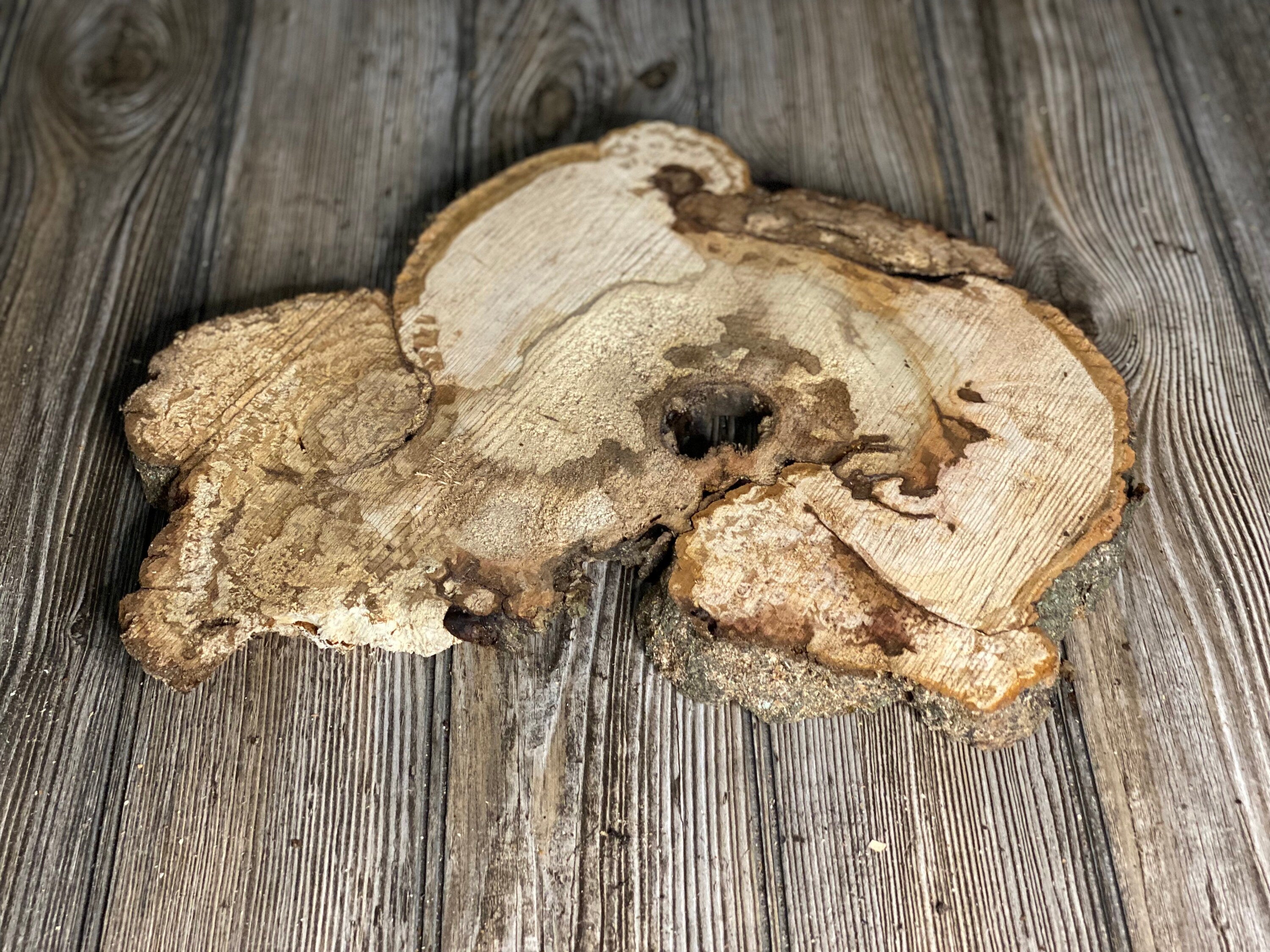 Hickory Burl Slice, Approximately 14 Inches Long by 11 Inches Wide and 3/4 Inch Thick