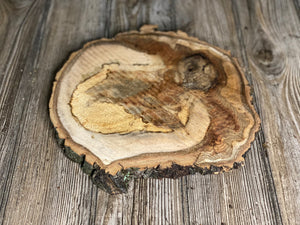 Aspen Burl Slice, Approximately 11 Inches Long by 10.5 Inches Wide and 3/4 Inch Thick