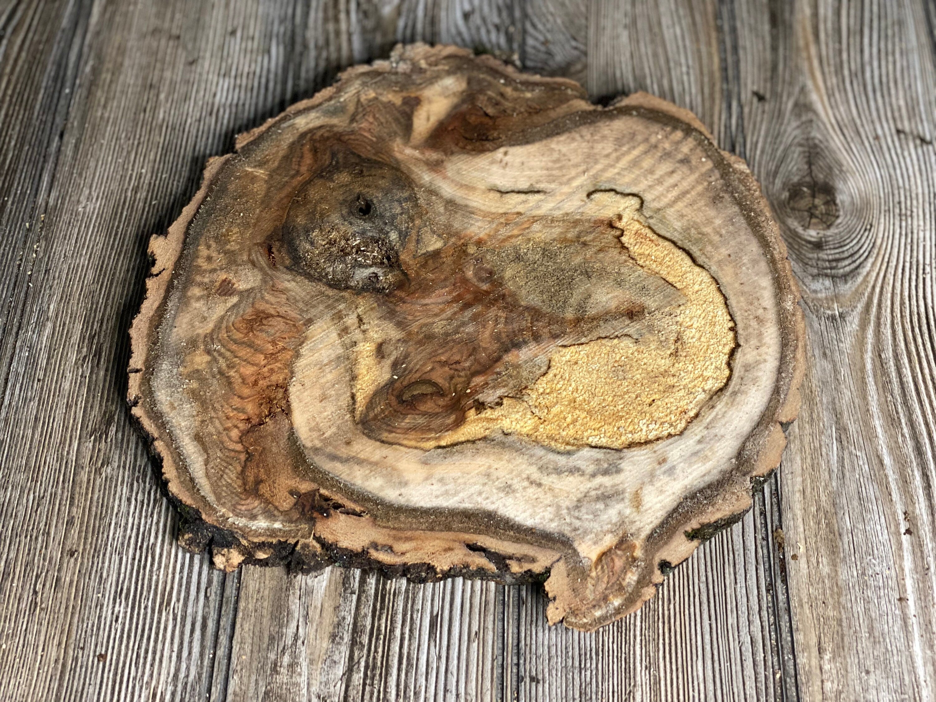 Aspen Burl Slice, Approximately 11 Inches Long by 10.5 Inches Wide and 3/4 Inch Thick