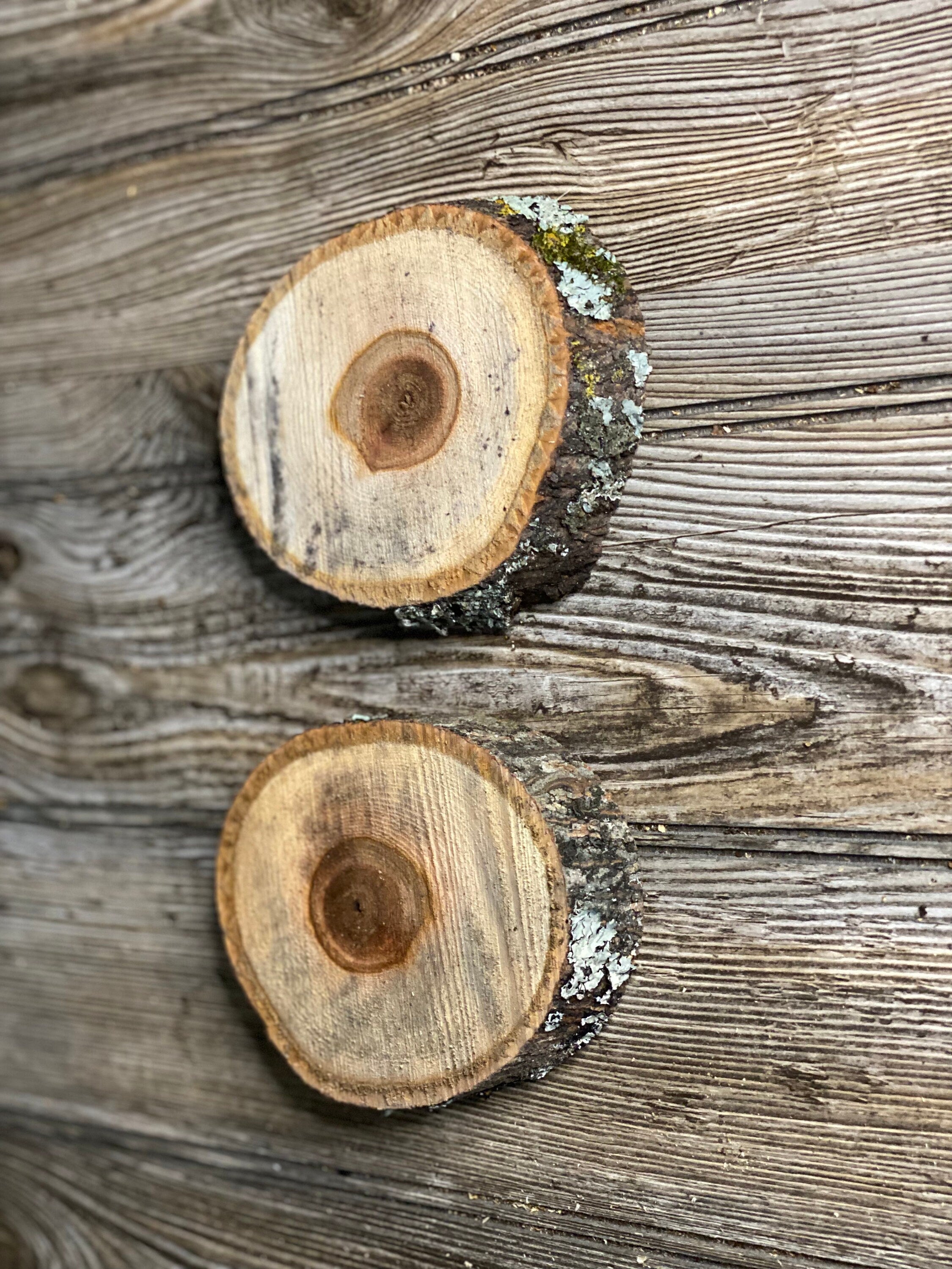 Two Hickory Burl Slices, Approximately 5 Inches Long by 4 Inches Wide and 3/4 Inch Thick