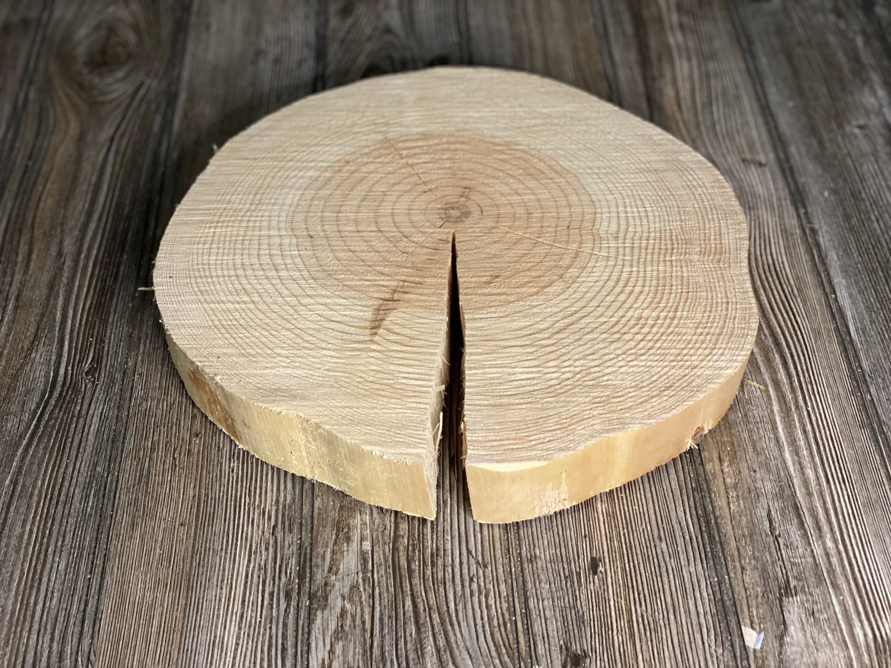 Pine Slice, Approximately 13 Inches Long by 13 Inches Wide and 2 Inches Tall