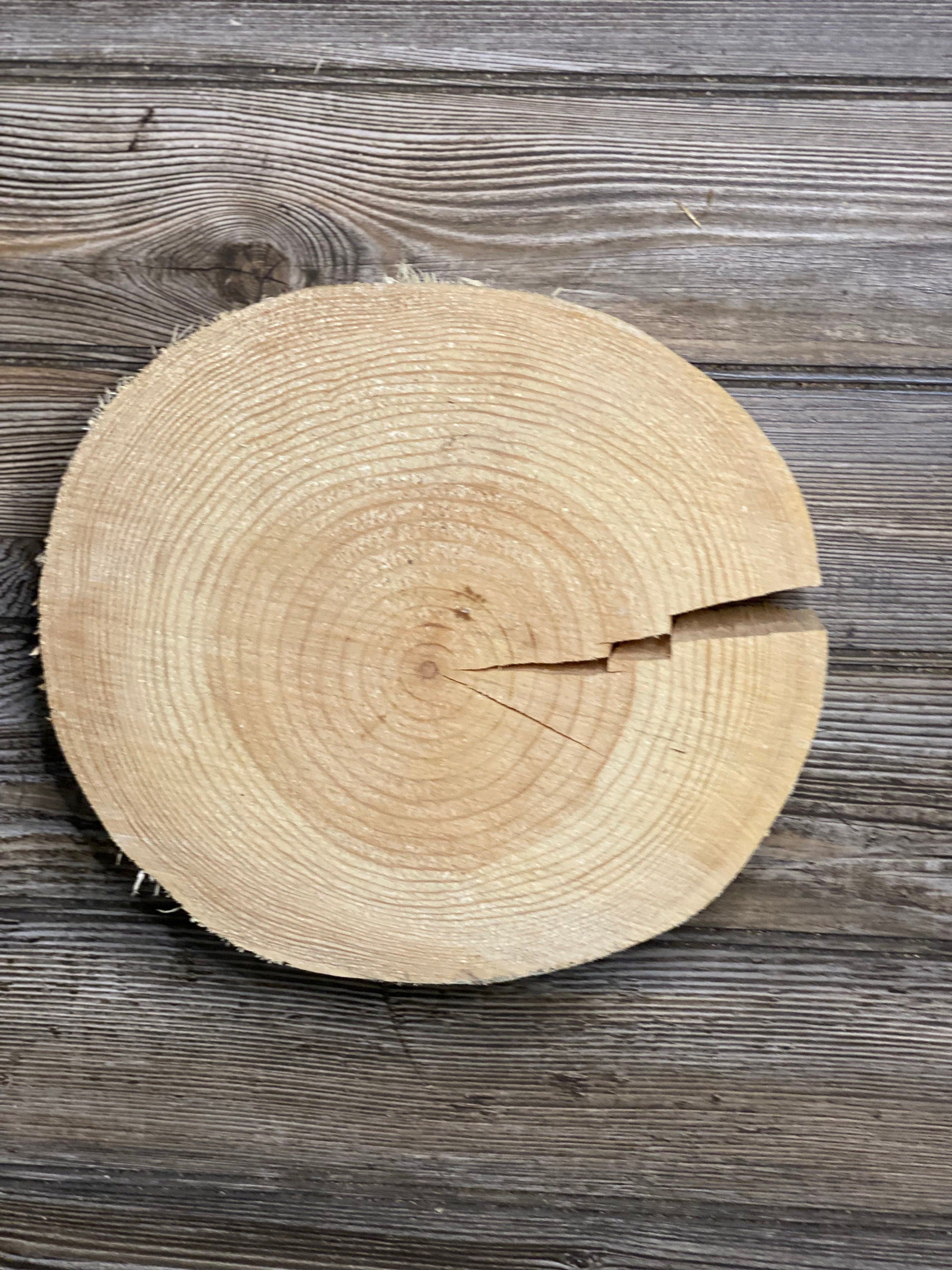 Pine Slice, Approximately 10.5 Inches Long by 9.5 Inches Wide and 2.5 Inches Tall