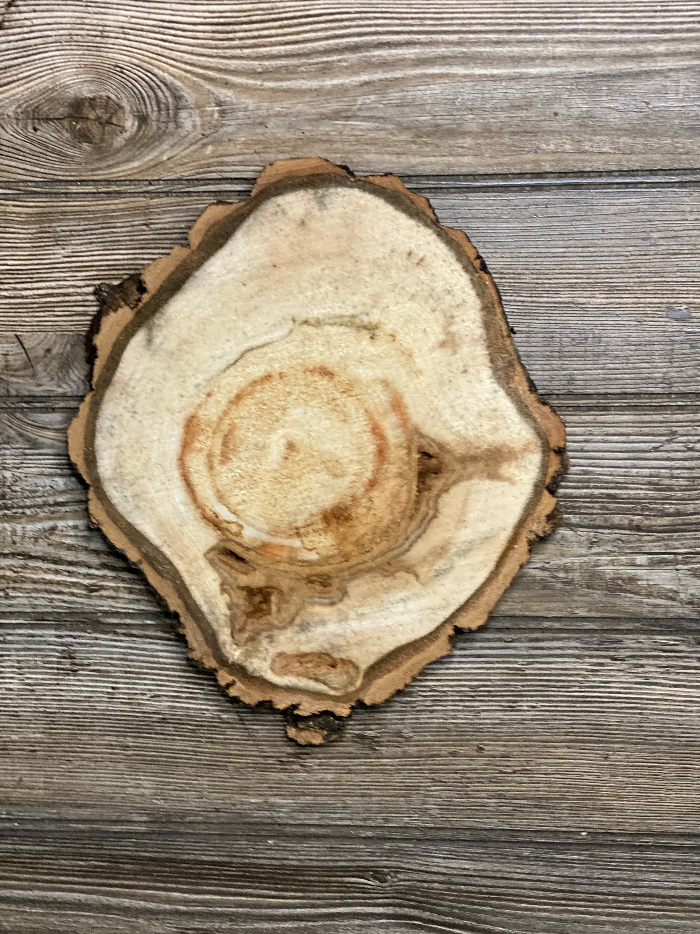 Aspen Burl Slice, Approximately 10.5 Inches Long by 9 Inches Wide and 3/4 Inch Thick