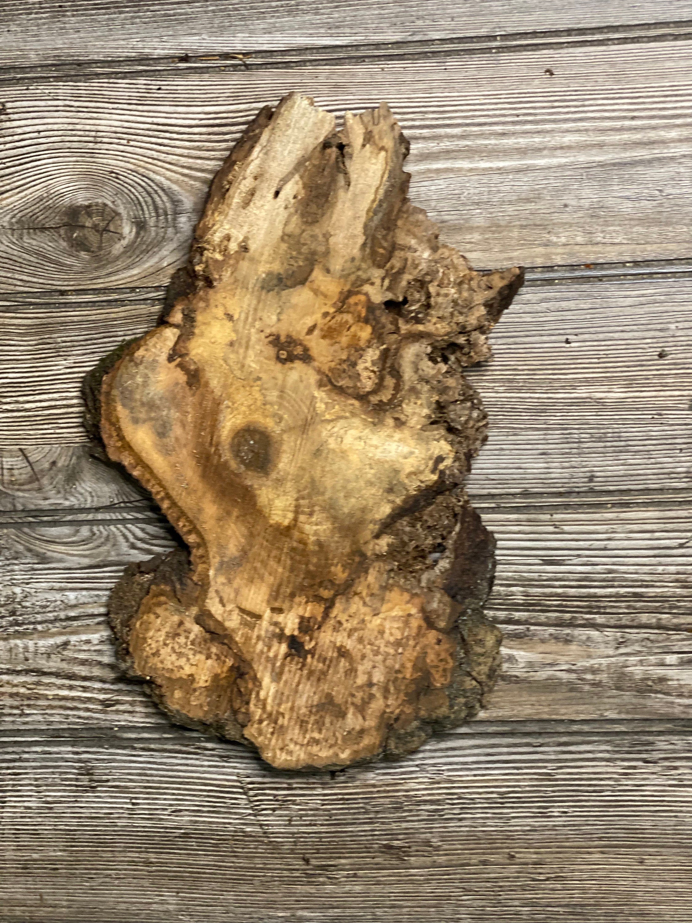 Hickory Burl Slice, Approximately 11.5 Inches Long by 7 Inches Wide and 3/4 Inch Thick