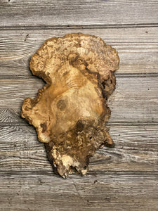 Hickory Burl Slice, Approximately 11.5 Inches Long by 7 Inches Wide and 3/4 Inch Thick