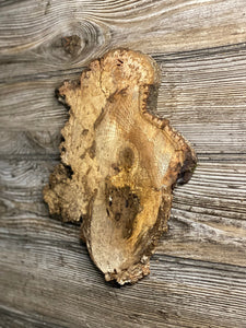 Hickory Burl Slice, Approximately 9.5 Inches Long by 8 Inches Wide and 3/4 Inch Thick