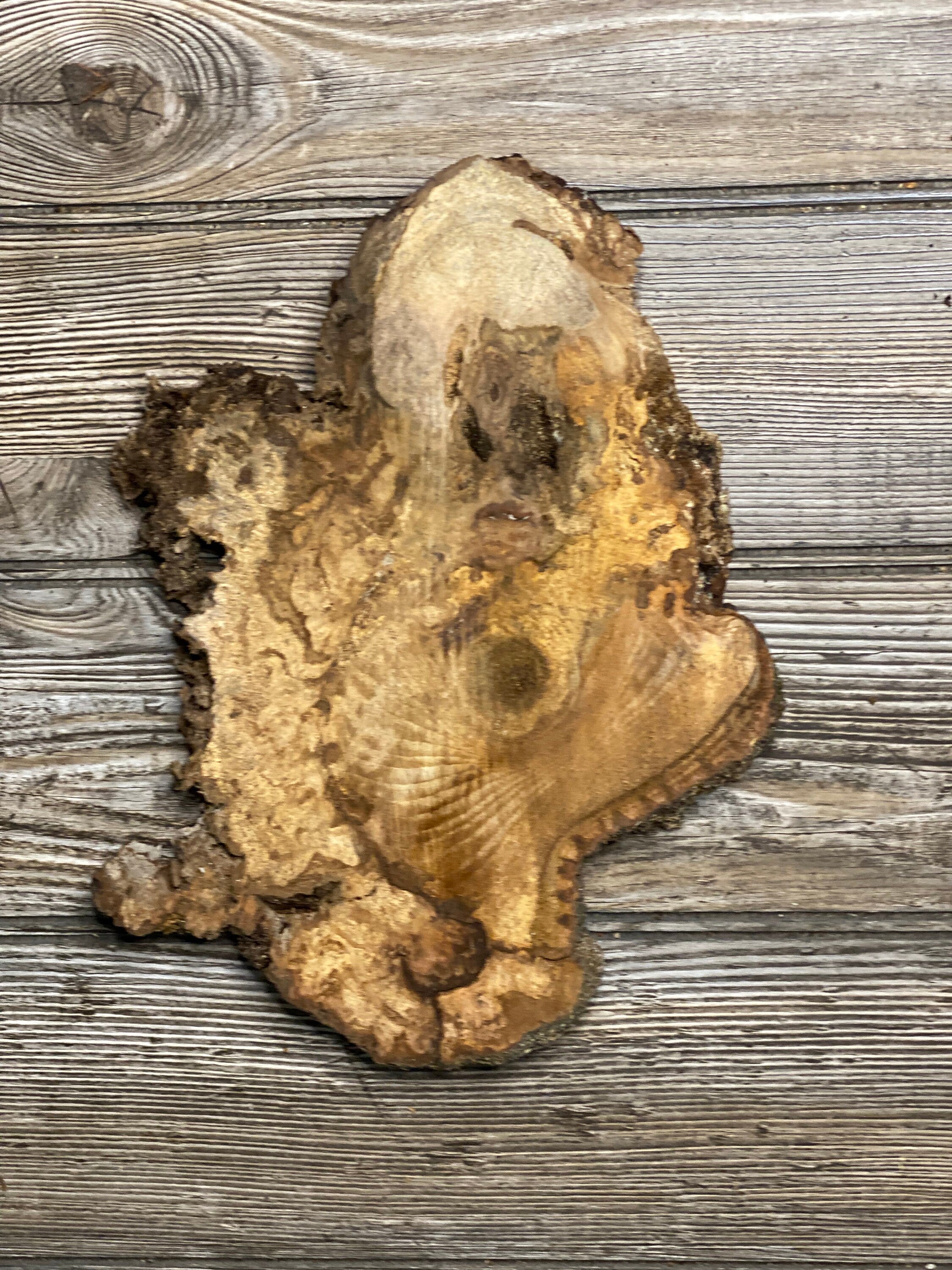 Hickory Burl Slice, Approximately 9.5 Inches Long by 8 Inches Wide and 3/4 Inch Thick