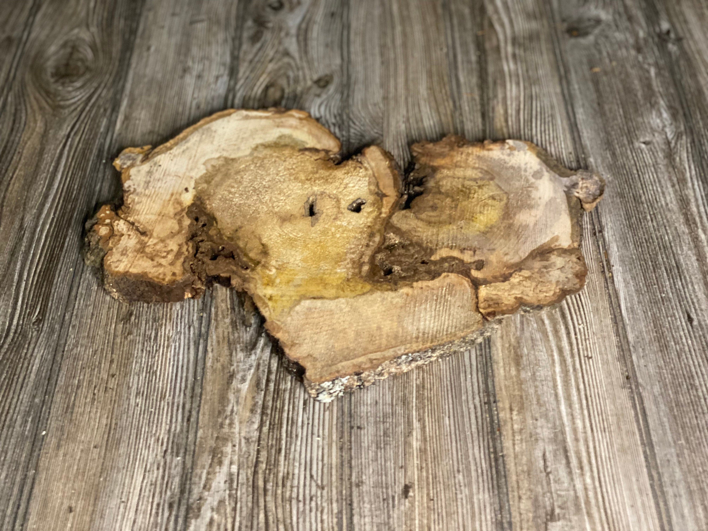 Hickory Burl Slice, Approximately 16.5 Inches Long by 11.5 Inches Wide and 3/4 Inch Thick