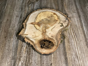 Aspen Burl Slice, Approximately 11 Inches Long by 9 Inches Wide and 3/4 Inch Thick