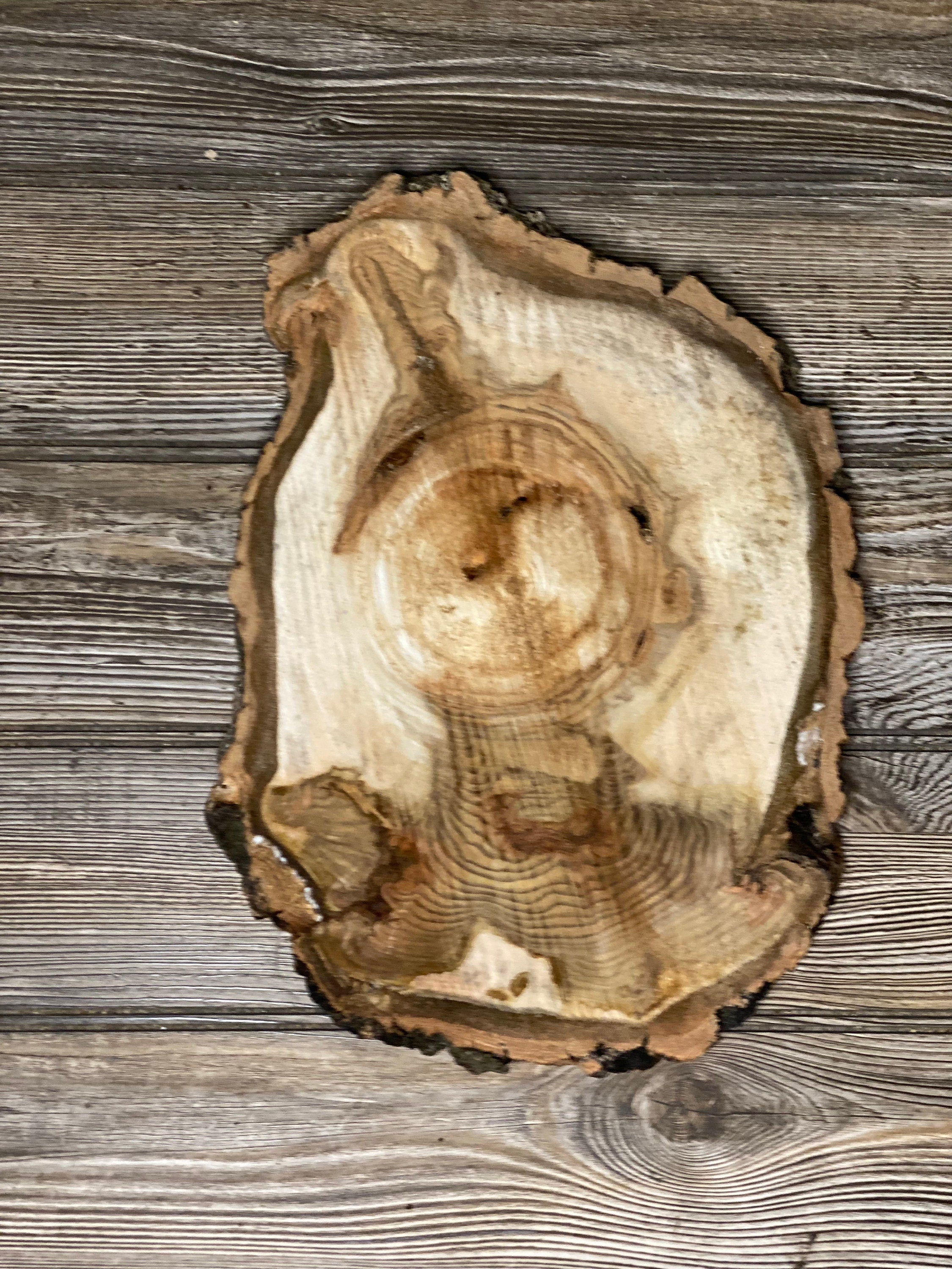 Aspen Burl Slice, Approximately 13 Inches Long by 9 Inches Wide and 3/4 Inch Thick