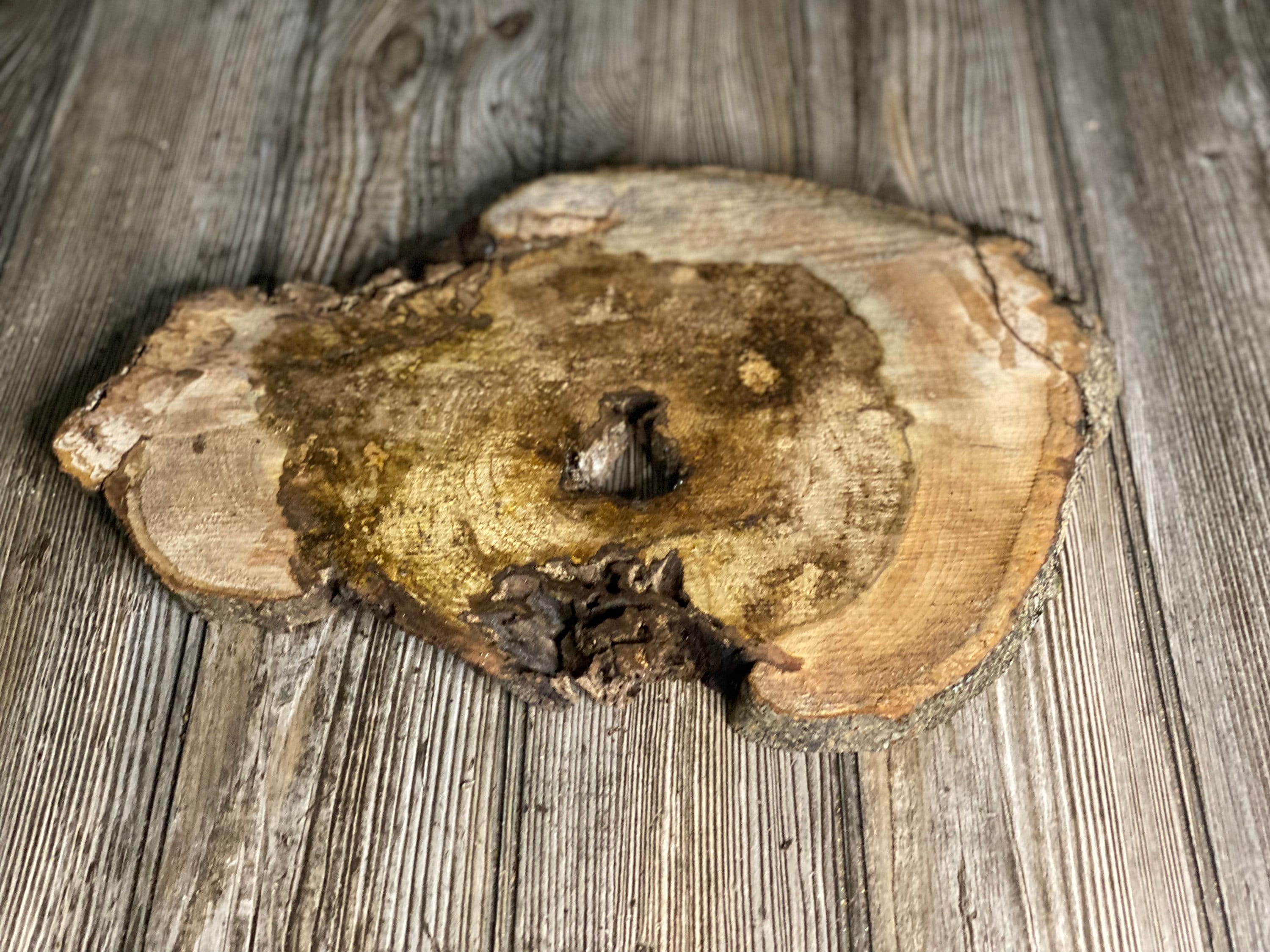 Hickory Burl Slice, Approximately 14 Inches Long by 10 Inches Wide and 3/4 Inch Thick