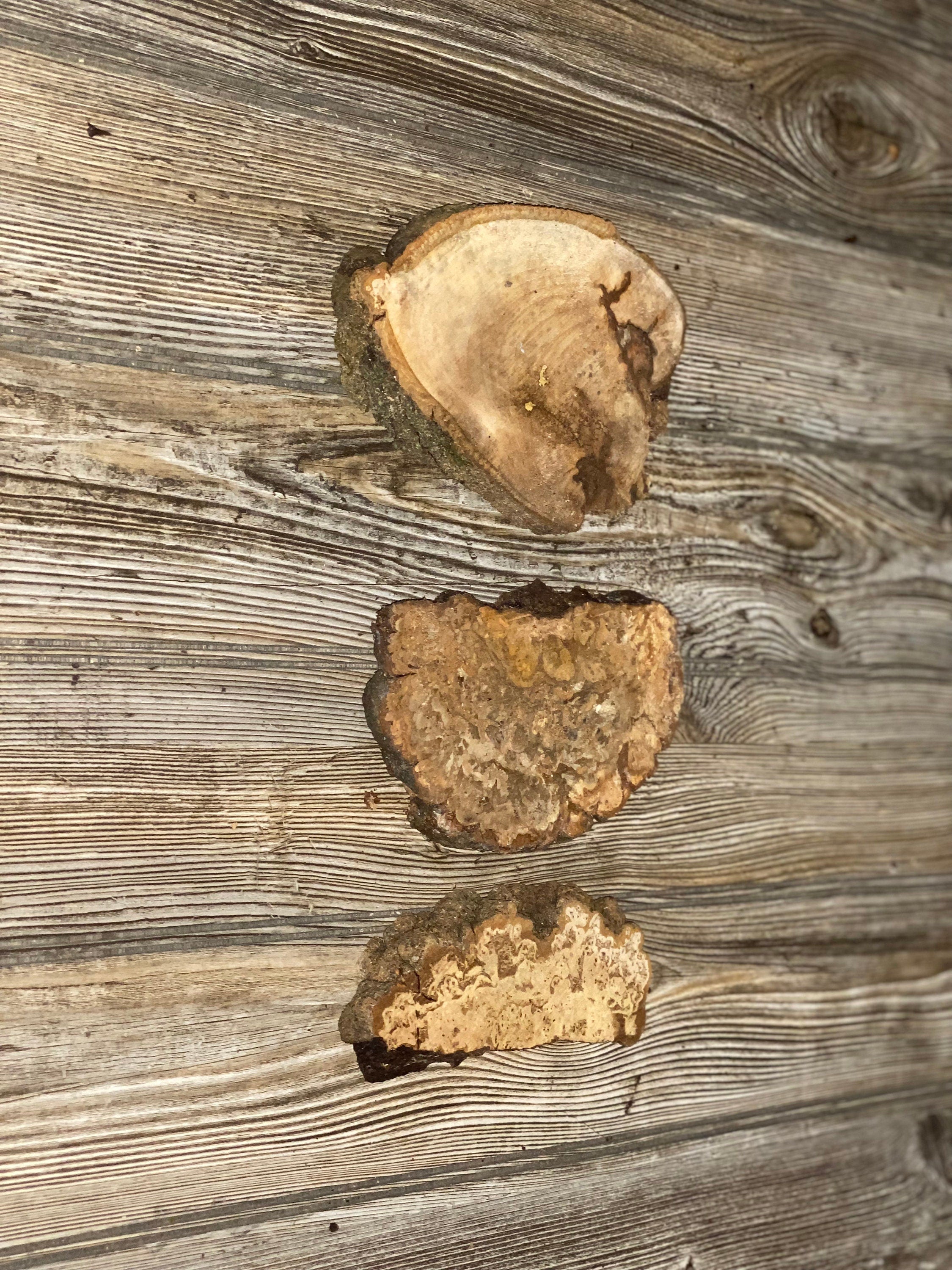 Three Hickory Burl Slices, Approximately 6 Inches Long by 2-5 Inches Wide and 3/4 Inch Thick