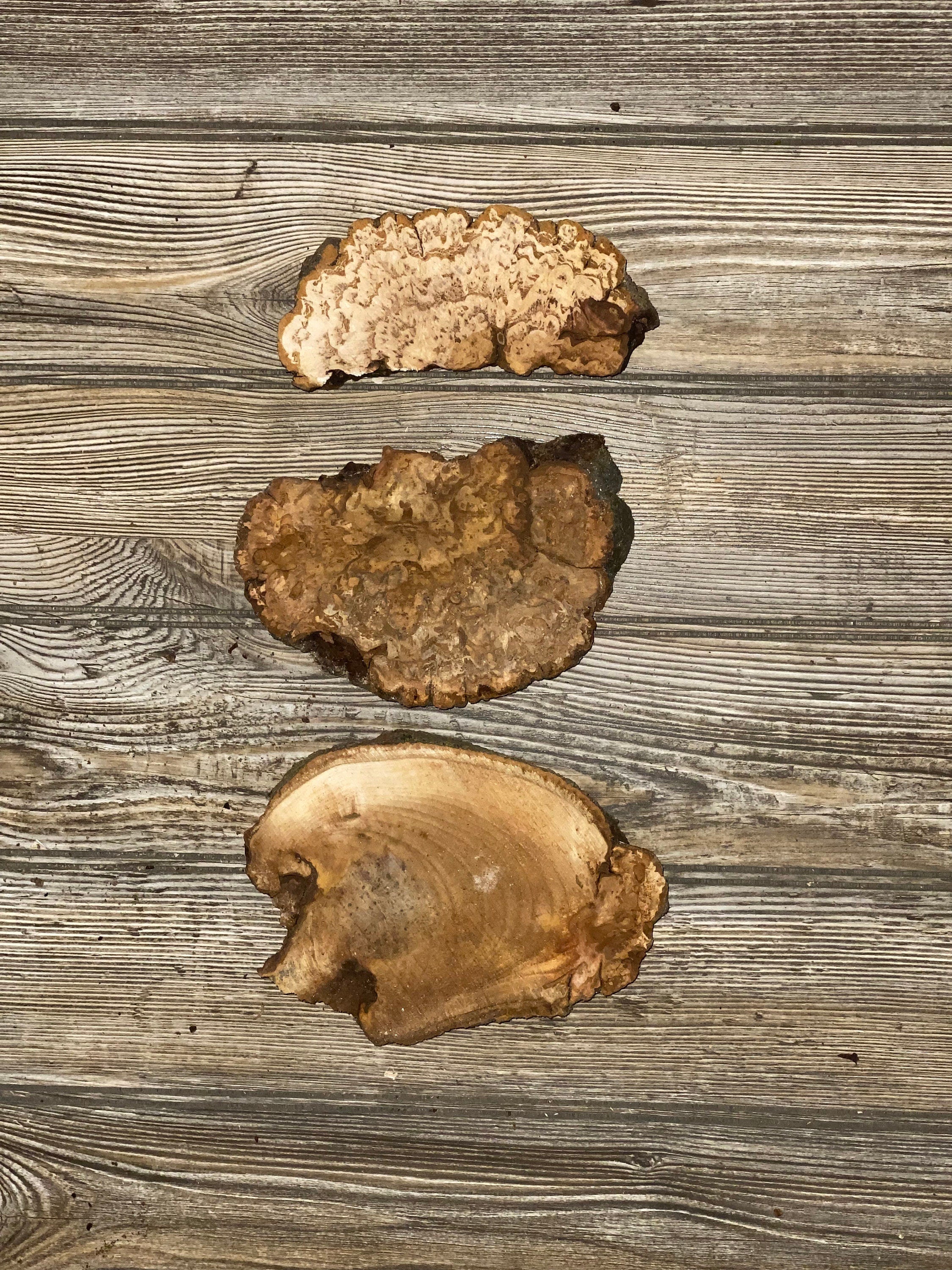 Three Hickory Burl Slices, Approximately 6 Inches Long by 2-5 Inches Wide and 3/4 Inch Thick