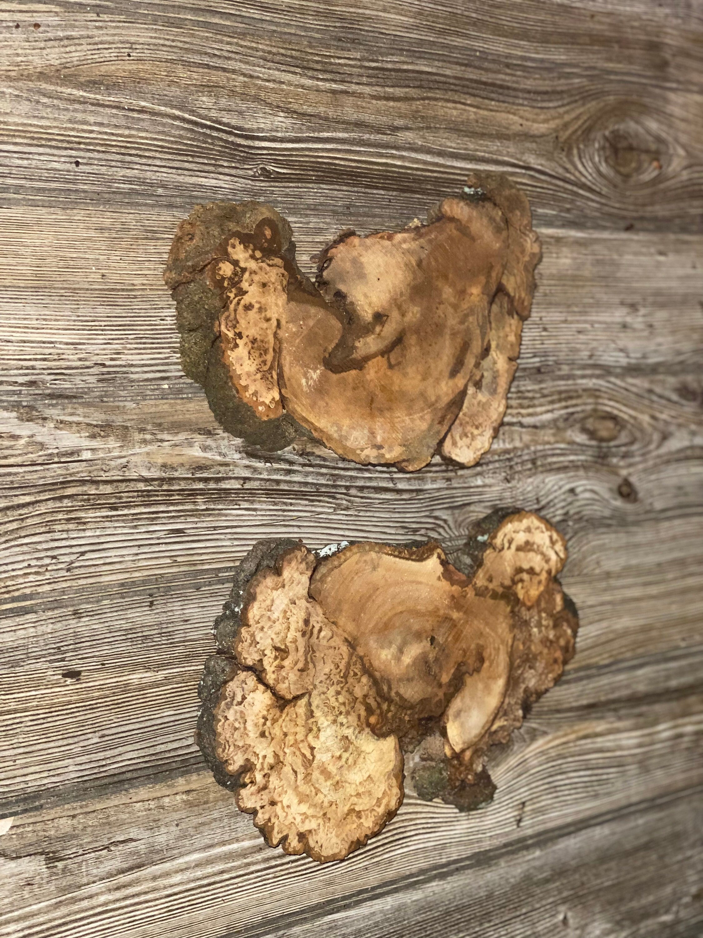 Two Hickory Burl Slices, Approximately 10-11 Inches Long by 6-7 Inches Wide and 3/4 Inch Thick