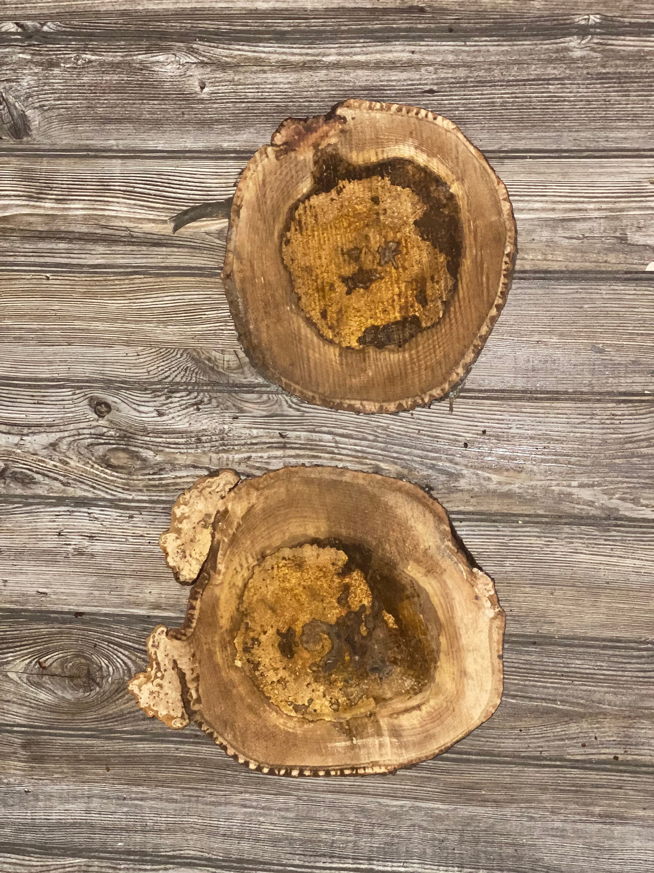 Two Hickory Burl Slices, Approximately 10.5-12.5 Inches Long by 10 Inches Wide and 3/4 Inch Thick